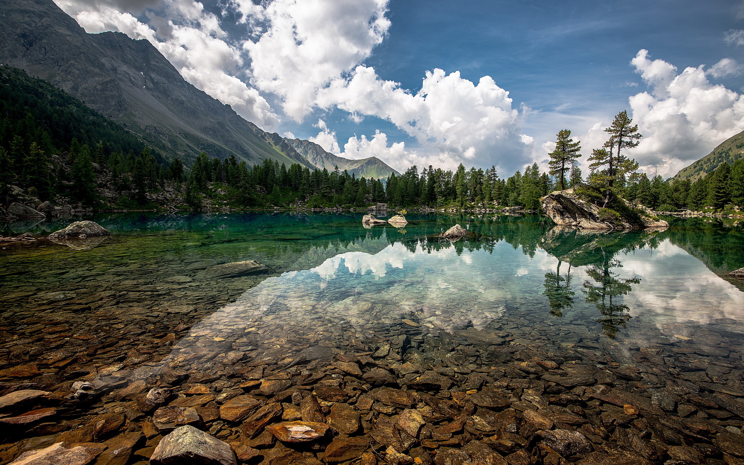 Картинки горы лес вода