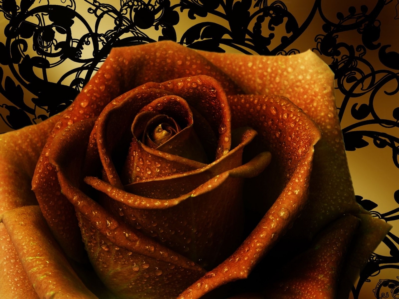 Cool Backgrounds  Roses