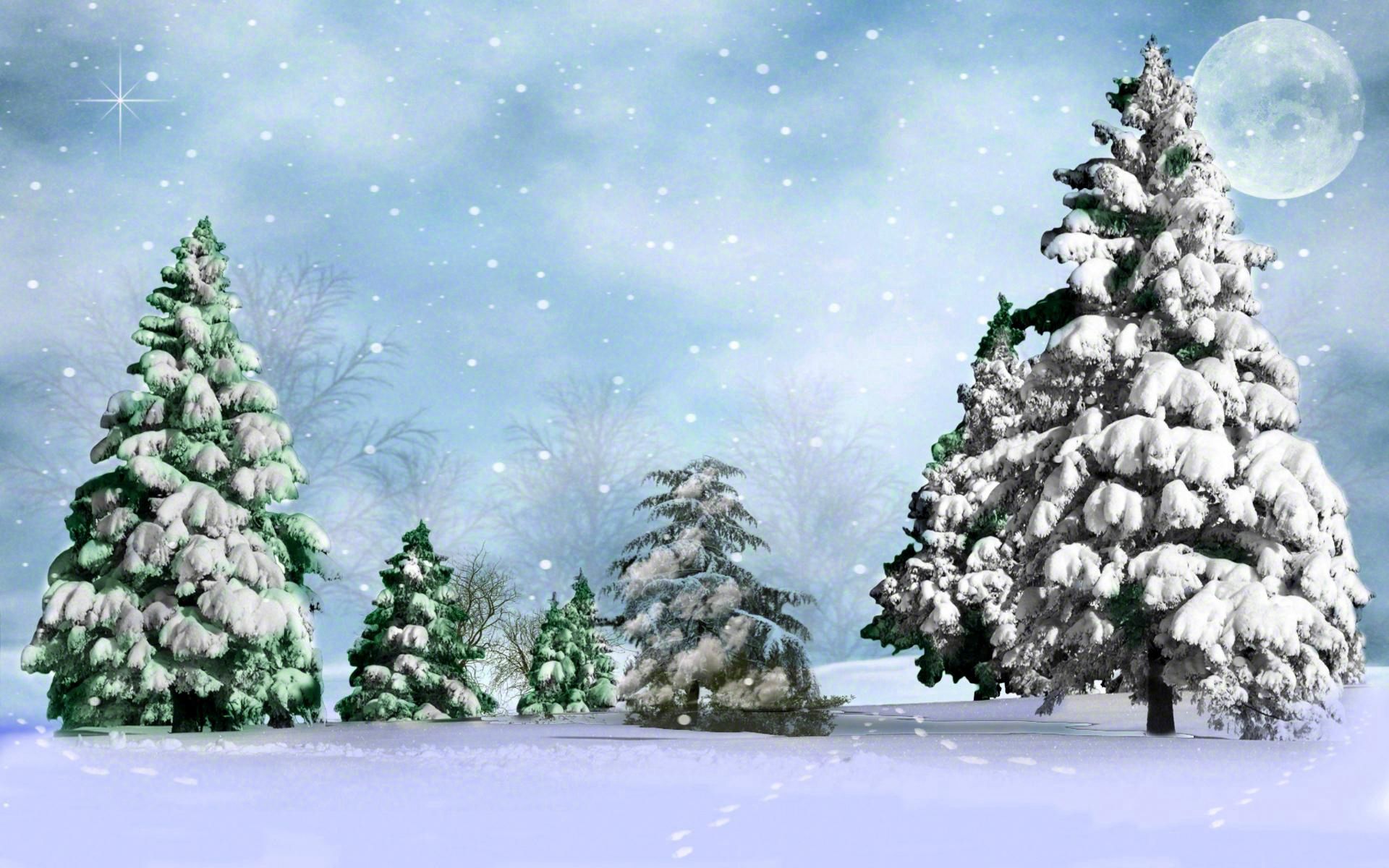 134423 Hintergrundbild herunterladen winter, natur, sky, sterne, mond, schnee, aß, aßen, star - Bildschirmschoner und Bilder kostenlos
