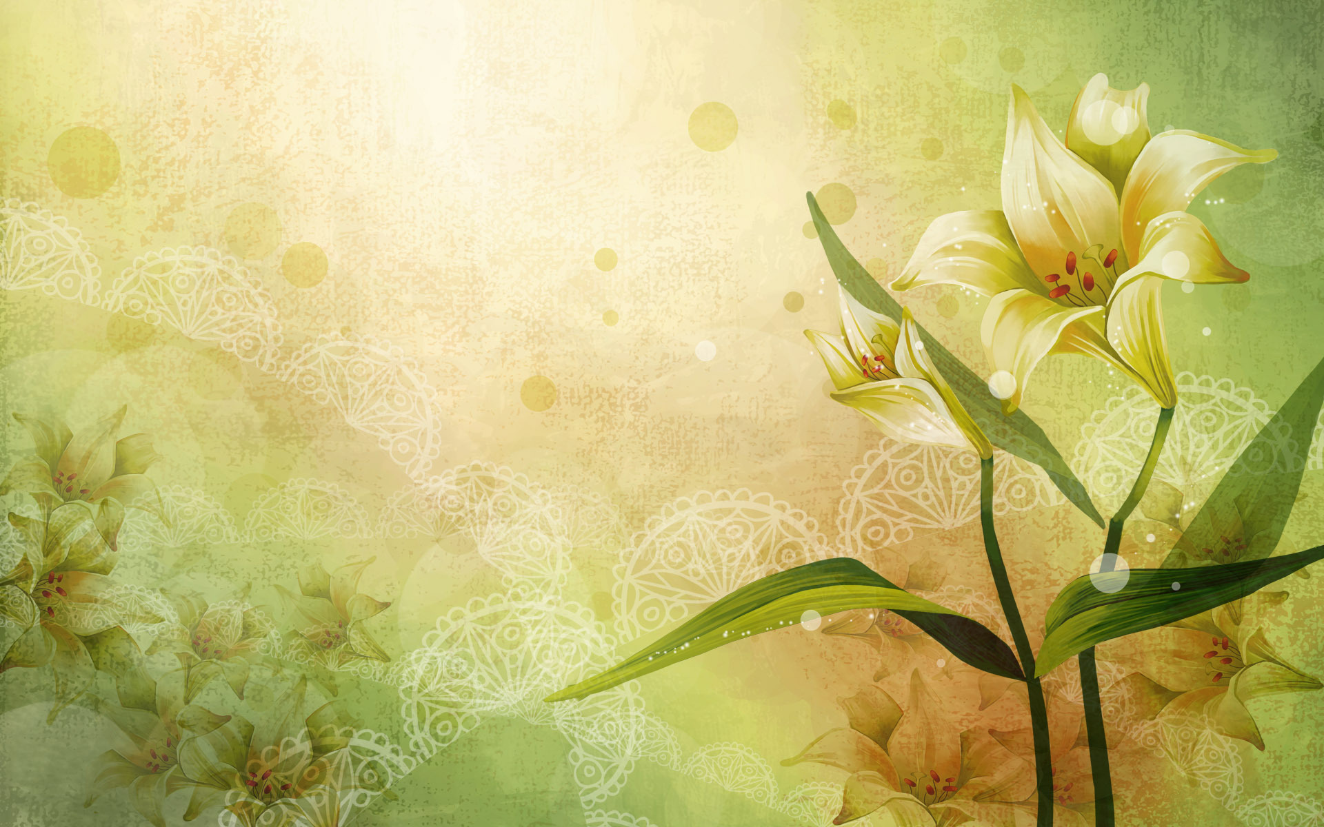 background, plants, flowers, yellow