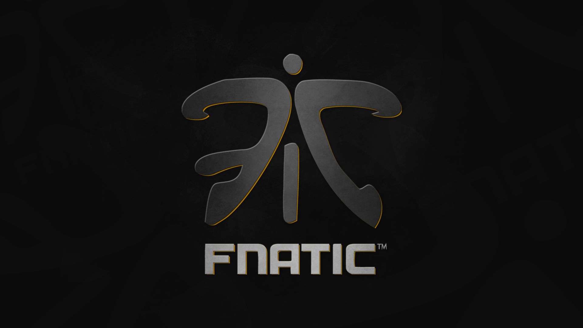 fnatic, video game, esports, gaming team for Windows