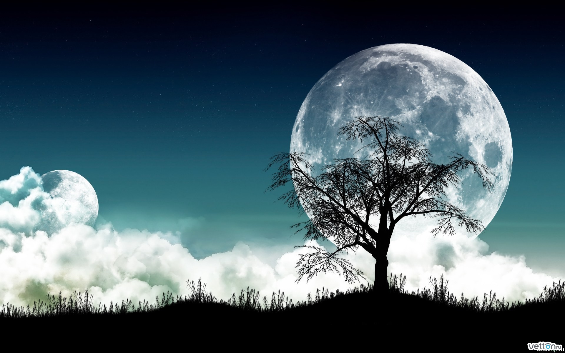 Скачать картинку Луна, Деревья, Пейзаж в телефон бесплатно.