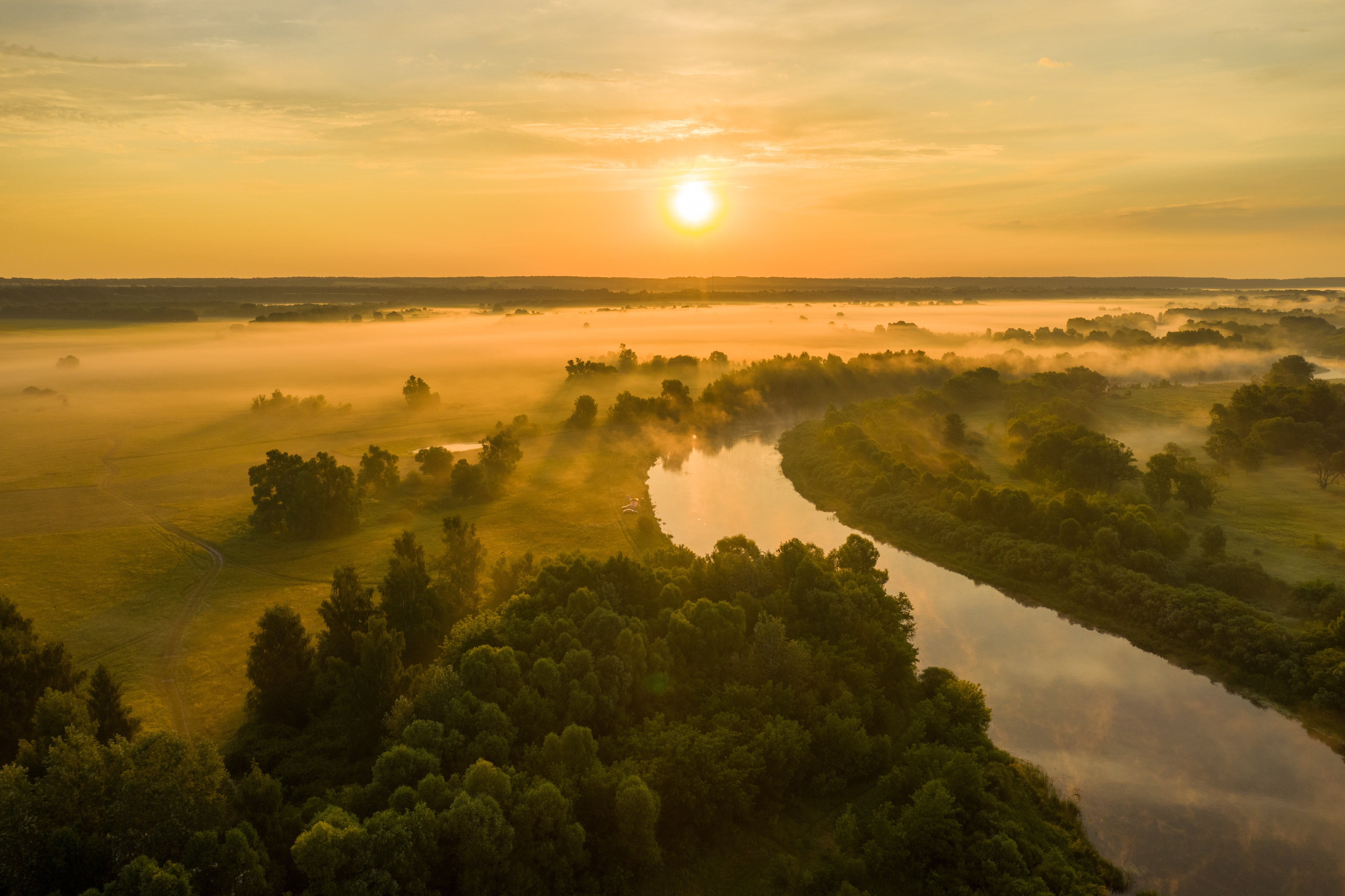 rivers, nature, trees, sunset, sun, fog Desktop Wallpaper