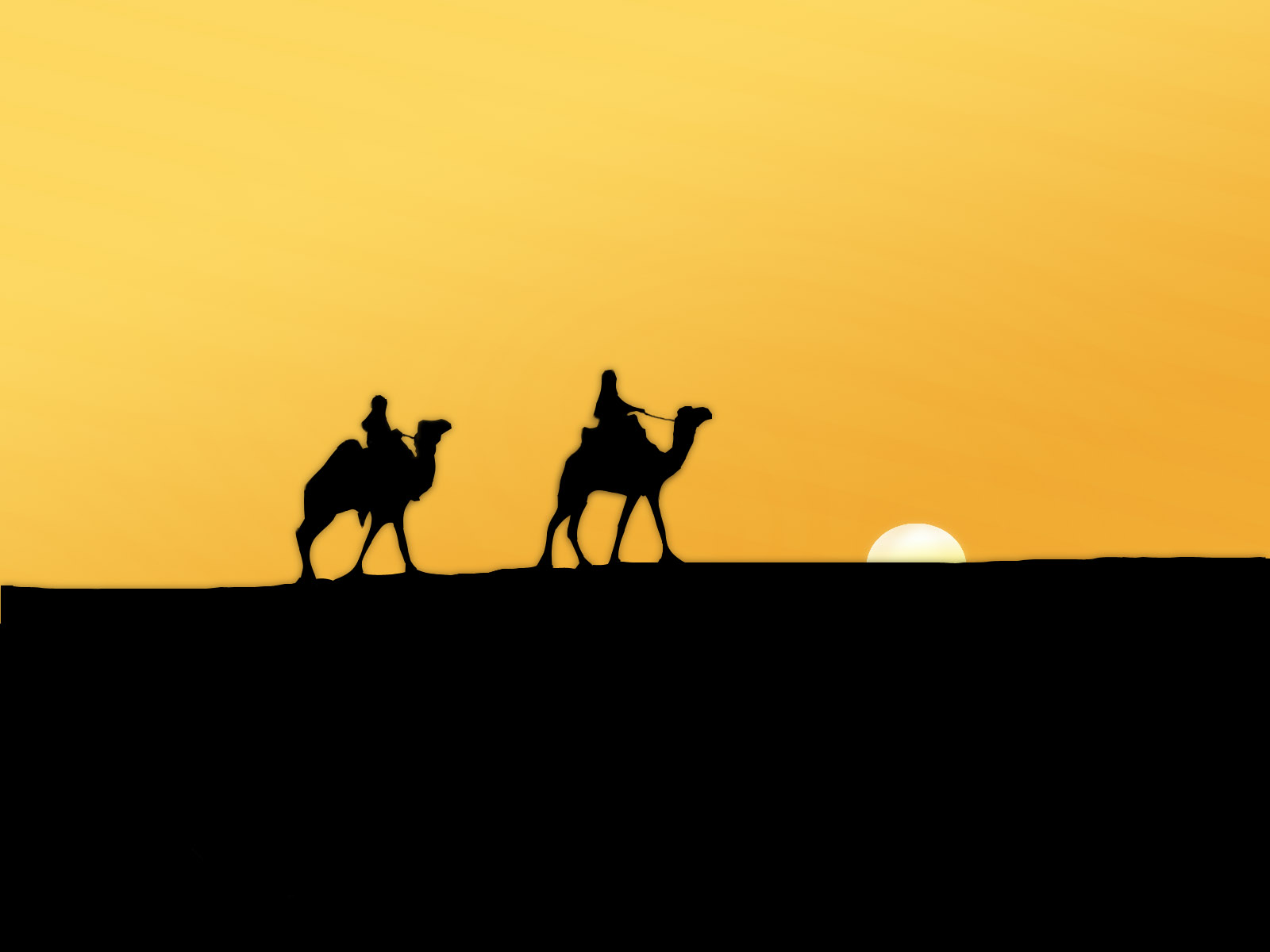 camel, sun, photography, people, desert