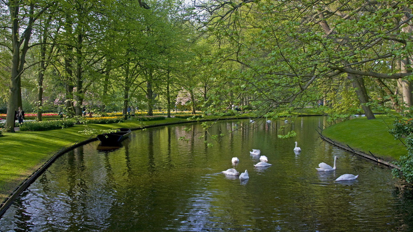 rivers, swans, animals, boats, landscape, birds, trees, green wallpapers for tablet