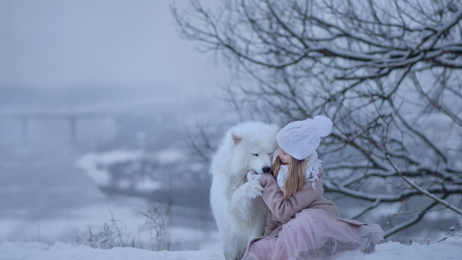 Человек и животное зимой. Самоед. Зимняя фотосессия с самоедами. Снег радость. Собака с девочкой и снег.