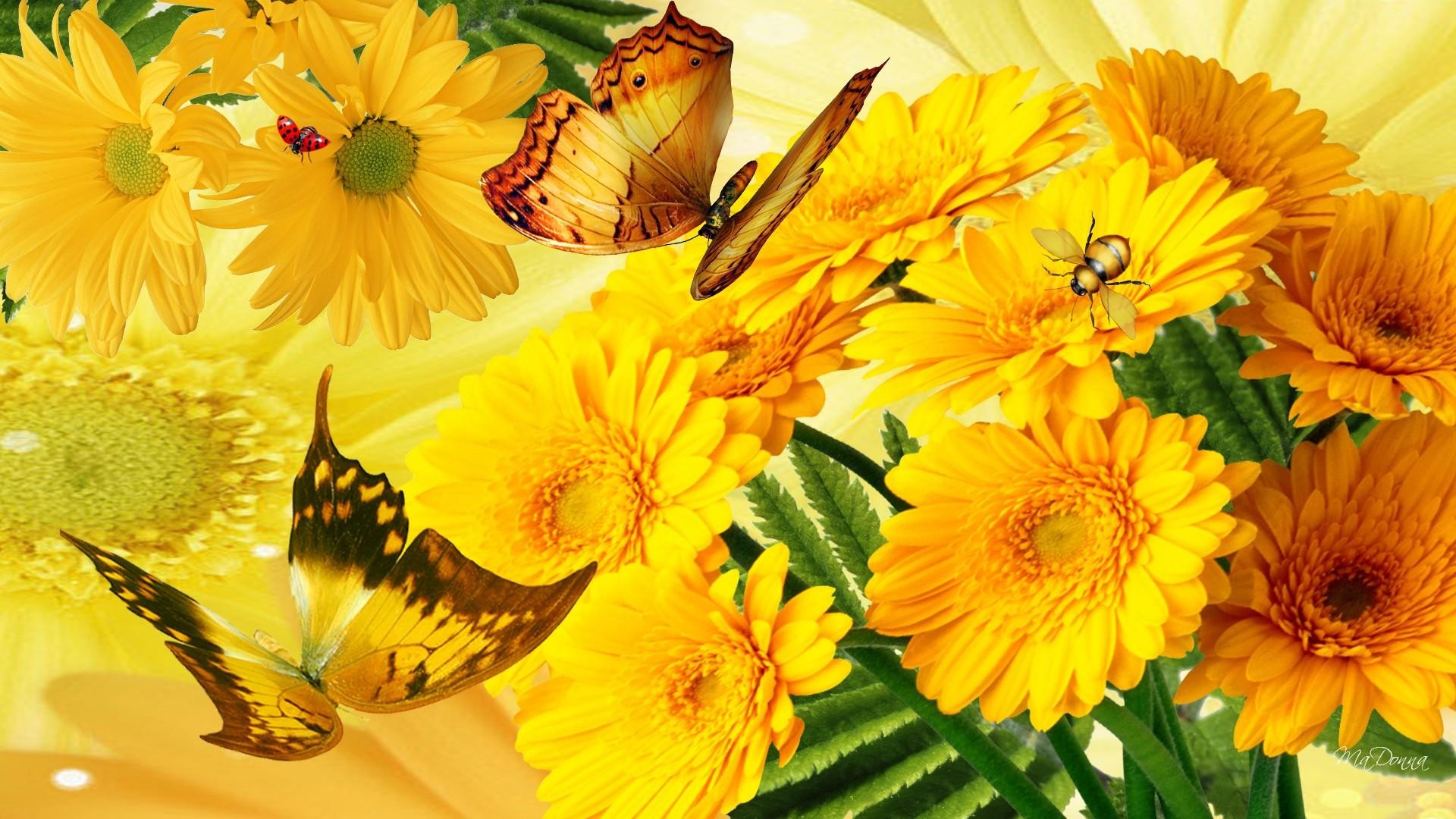 Free download wallpaper Flowers, Flower, Butterfly, Artistic, Gerbera, Yellow Flower on your PC desktop