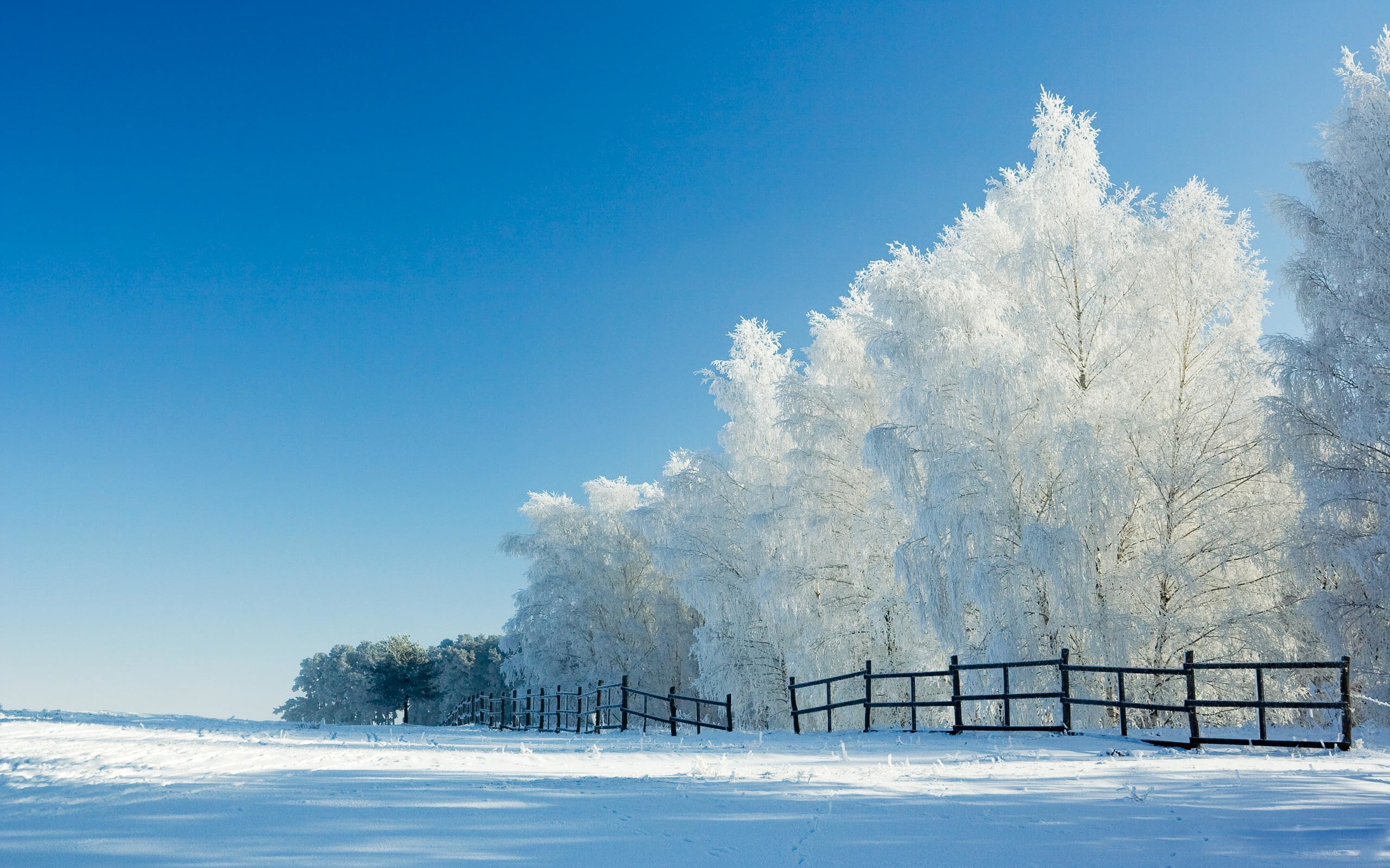 Зимние пейзажи фото высокого разрешения