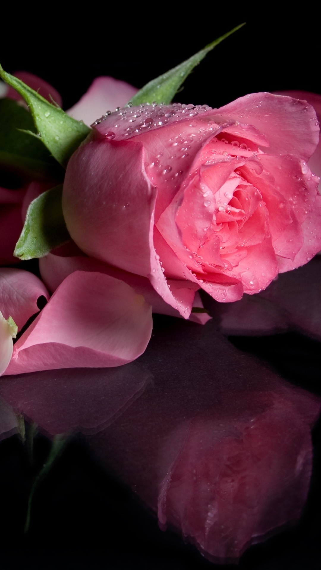 Гиф цветы розовые розы