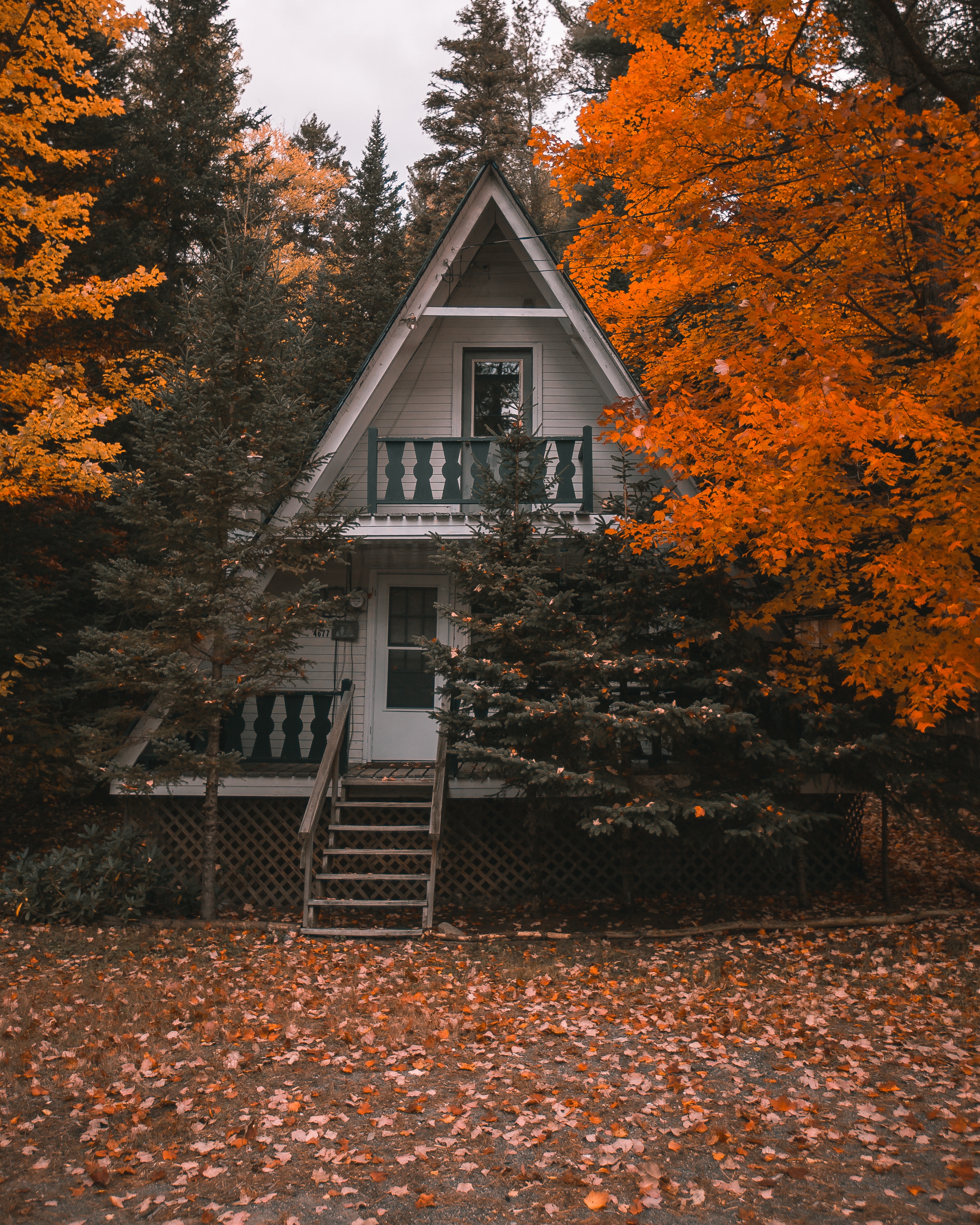 autumn, small house, nature, trees, privacy, seclusion, lodge, coziness, comfort