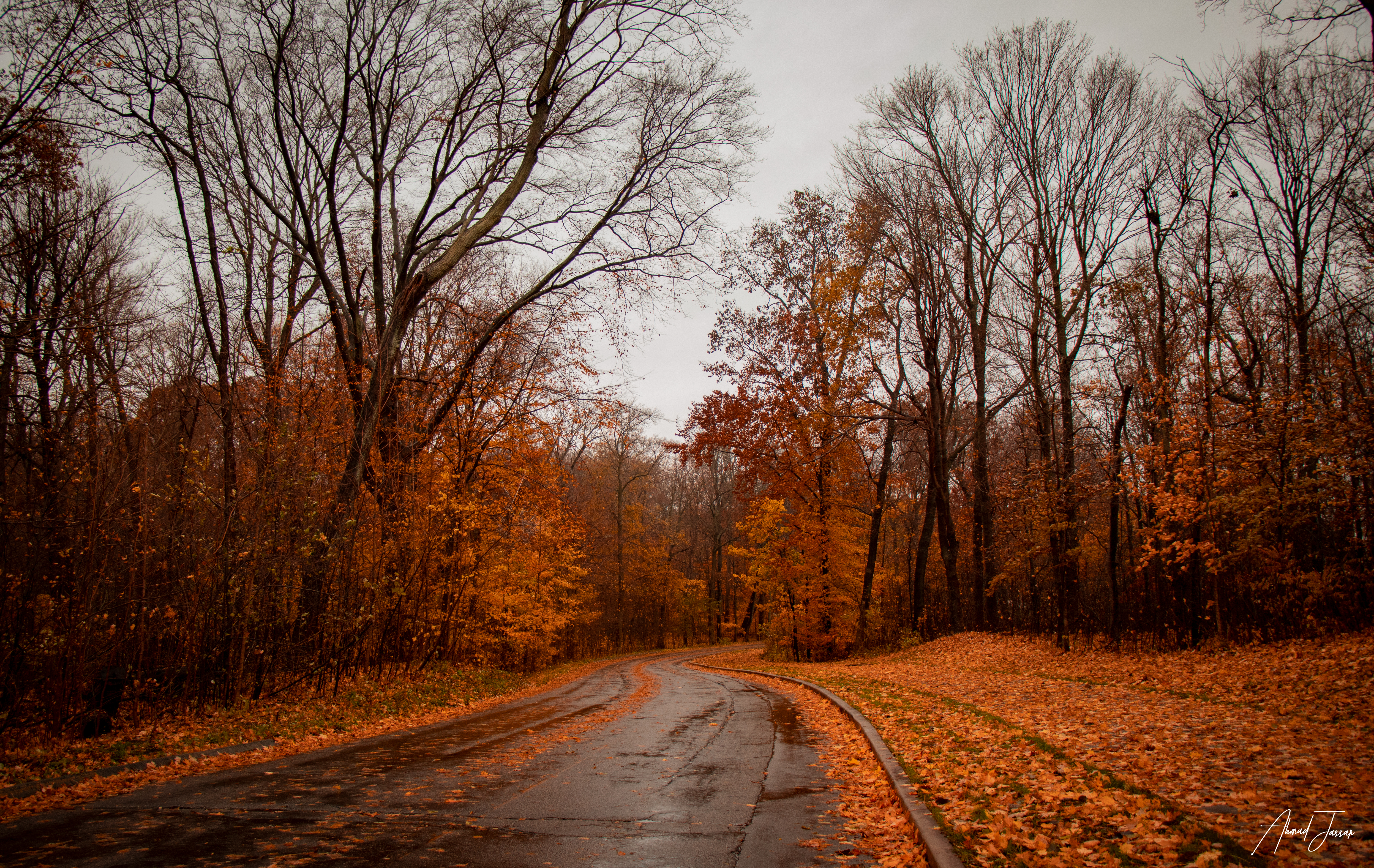 Download mobile wallpaper Trees, Road, Autumn, Nature for free.