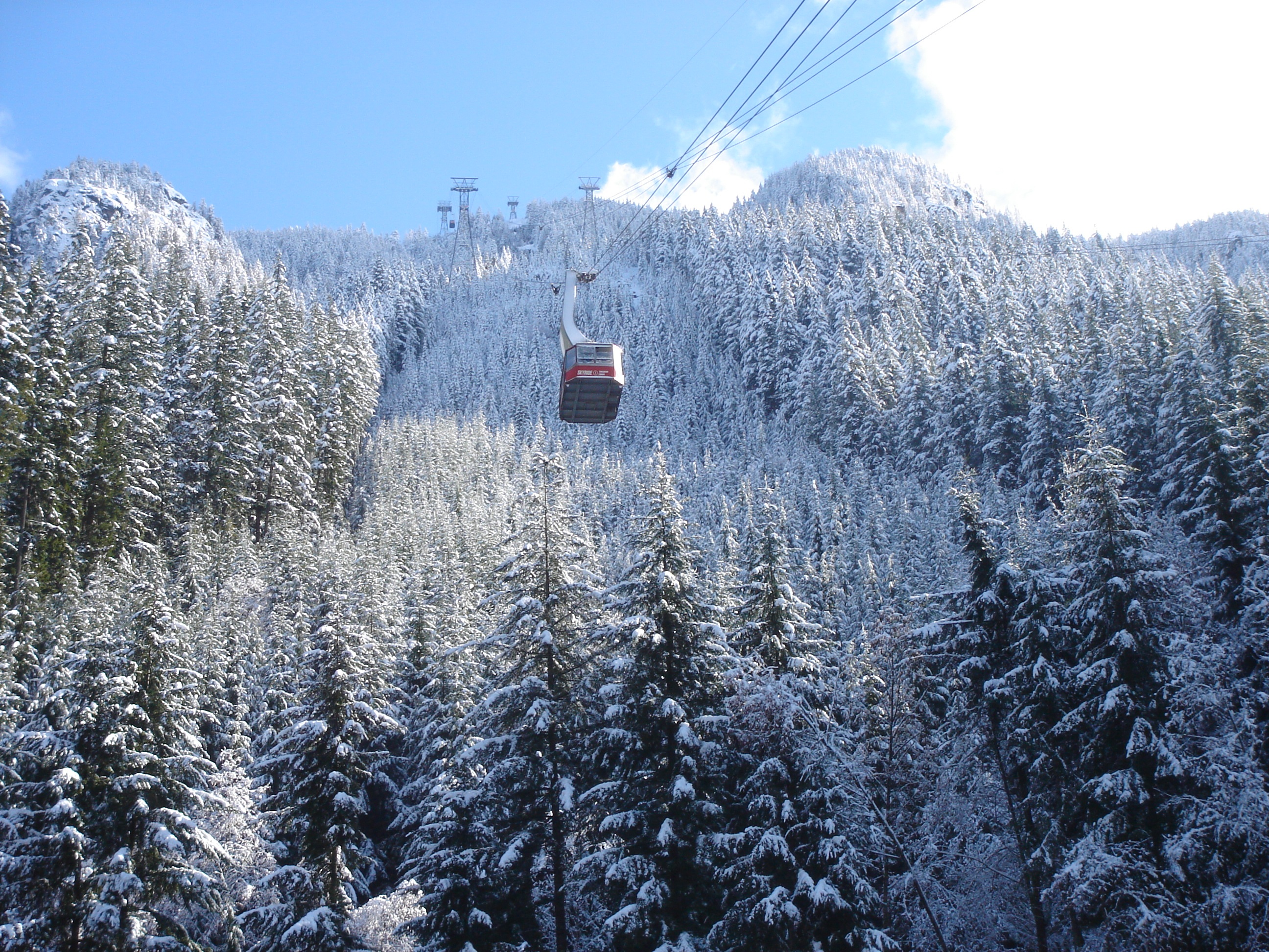 winter, nature, trees, car, railway carriage, cable car, cableway QHD