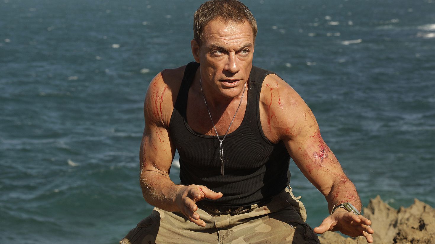 Movie van. Жан-Клод Ван Дамм. Jean Claude van Damme. Жан-Клод Ван Дамм 2013. Жан-Клод Ван Дамм фото.