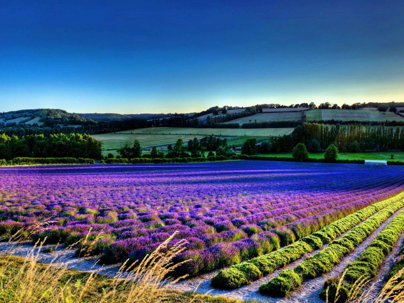 fields, landscape 4K Ultra