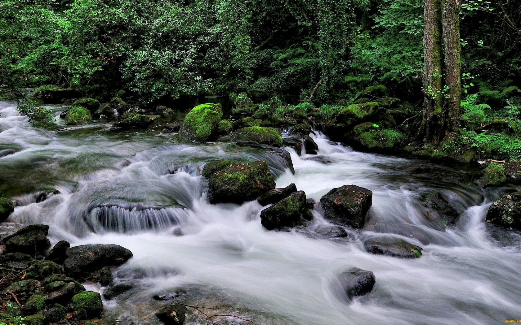 Download mobile wallpaper Rivers, Landscape for free.