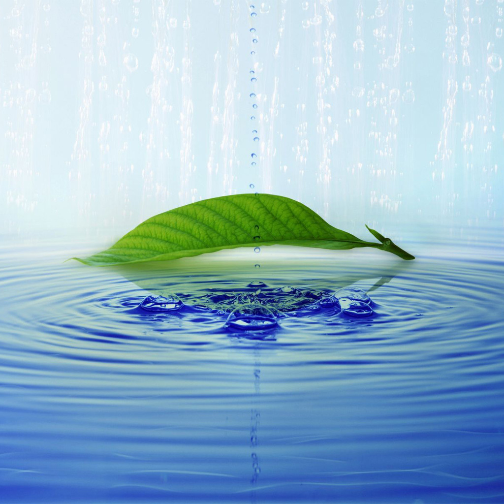 Download mobile wallpaper Drops, Leaves, Water, Background for free.