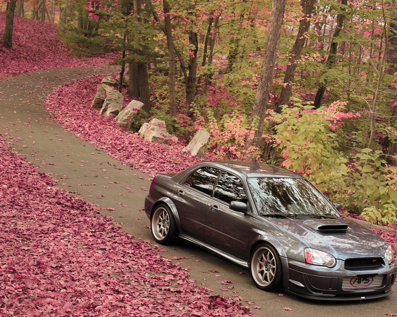 Download mobile wallpaper Transport, Roads, Leaves, Auto, Autumn, Subaru for free.