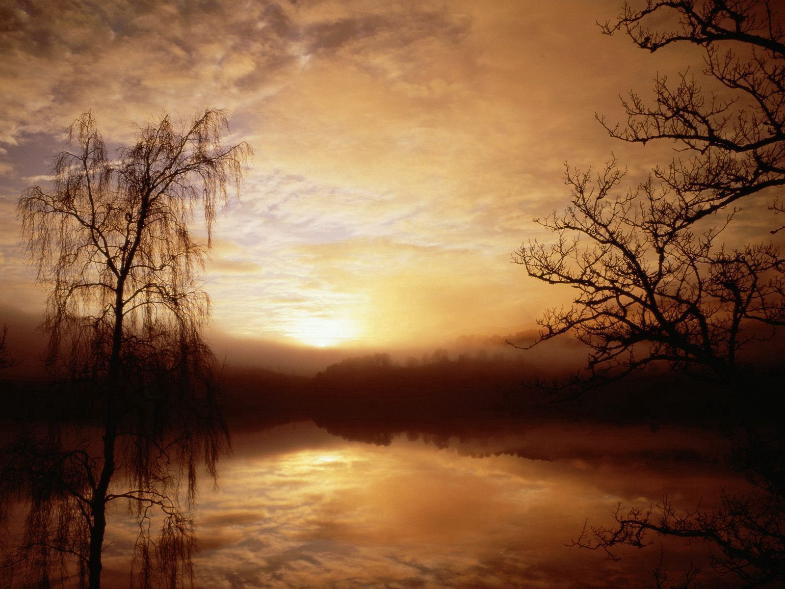 lake, nature, trees, dawn, fog, morning, outlines download HD wallpaper