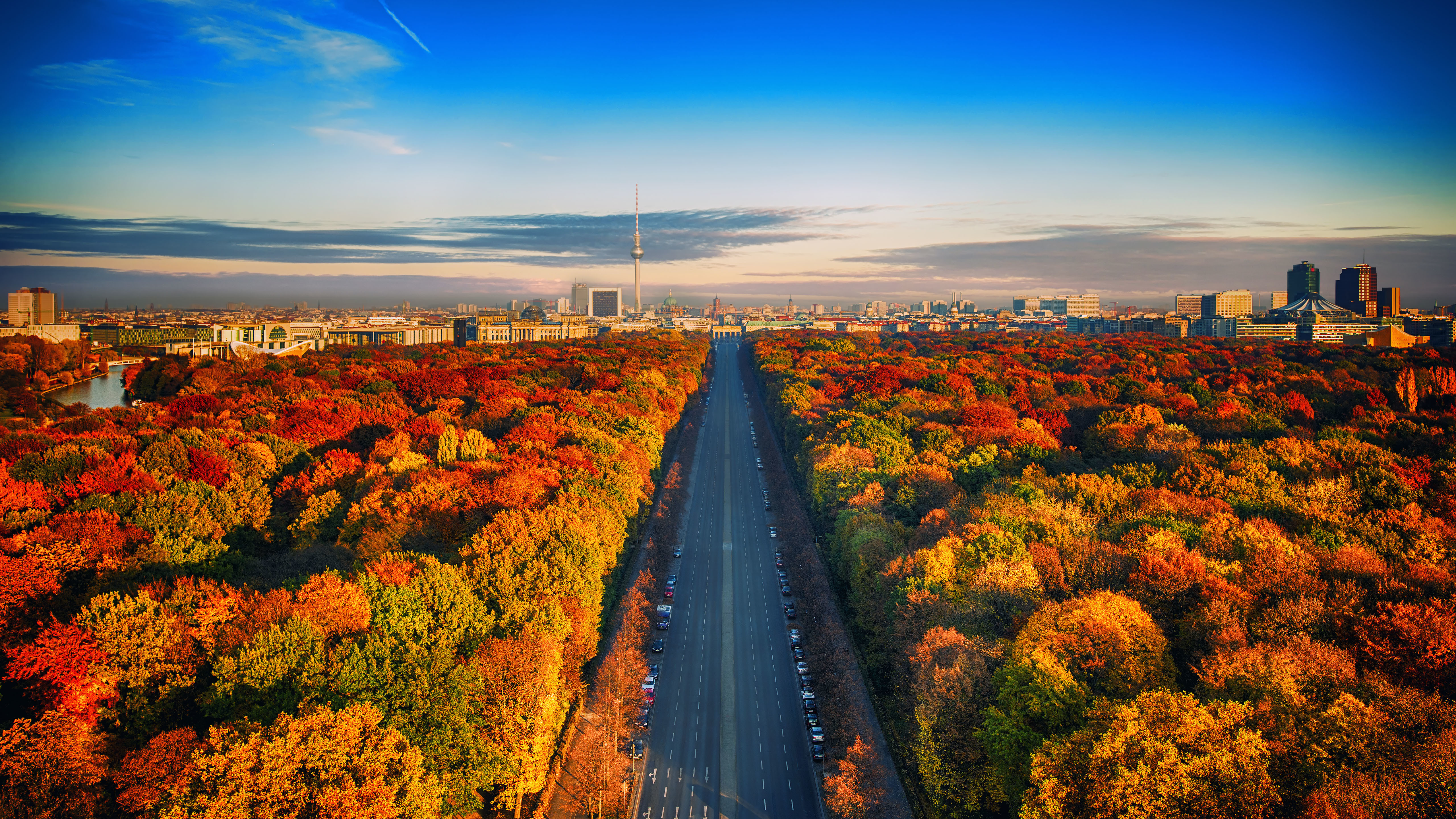 berlin, road, germany, fall, man made, highway, forest Free Stock Photo