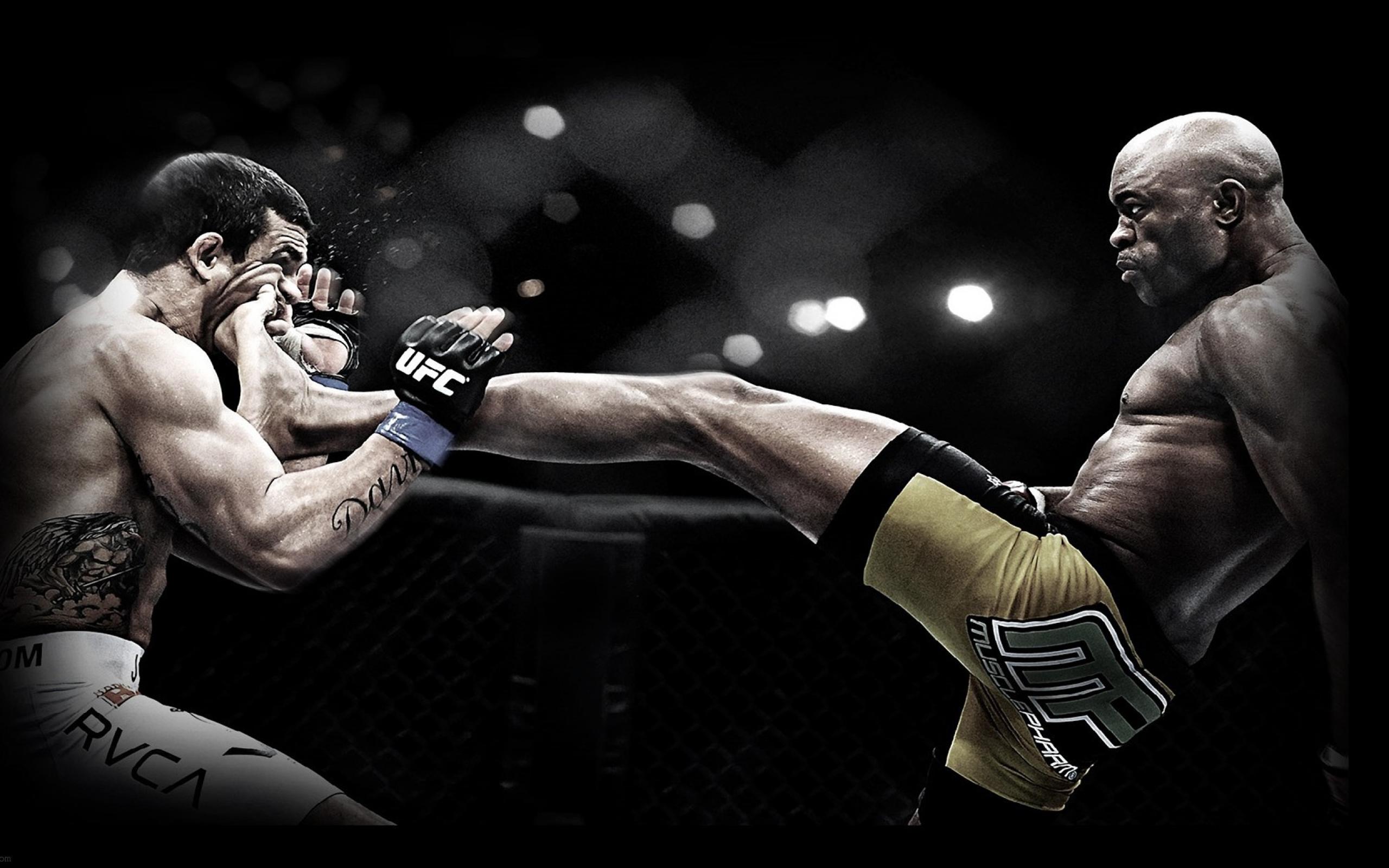 cool ufc wallpapers