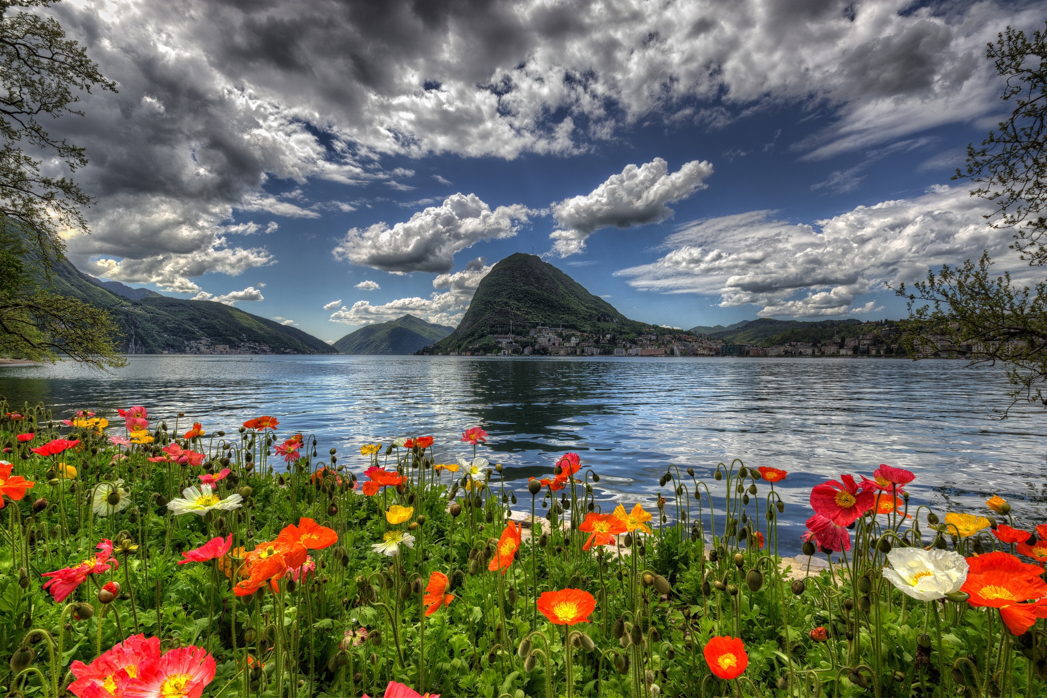Горы озера цветы Швейцария