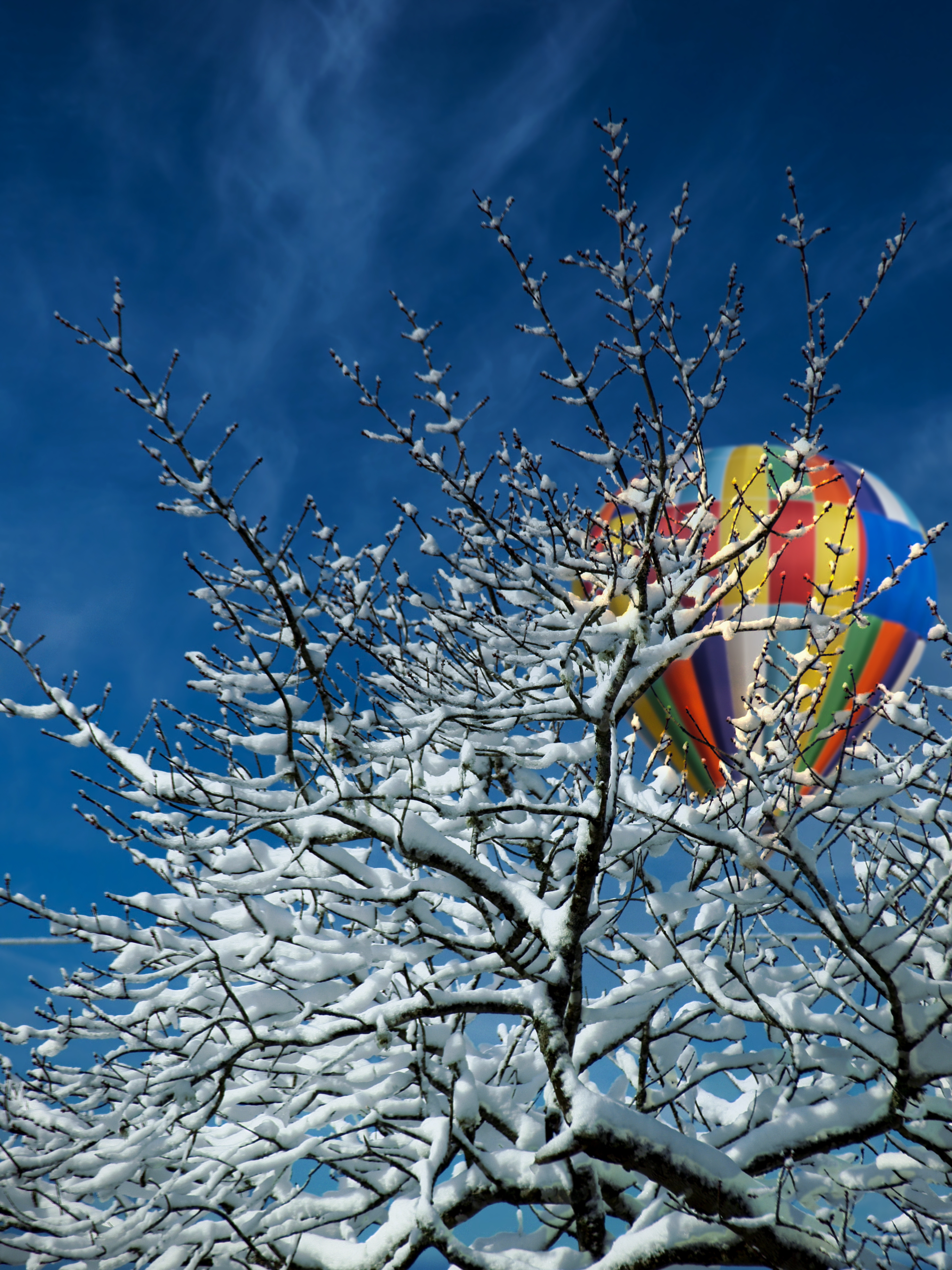 Handy-Wallpaper Winter, Schnee, Baum, Holz, Natur, Luftballon, Ballon kostenlos herunterladen.