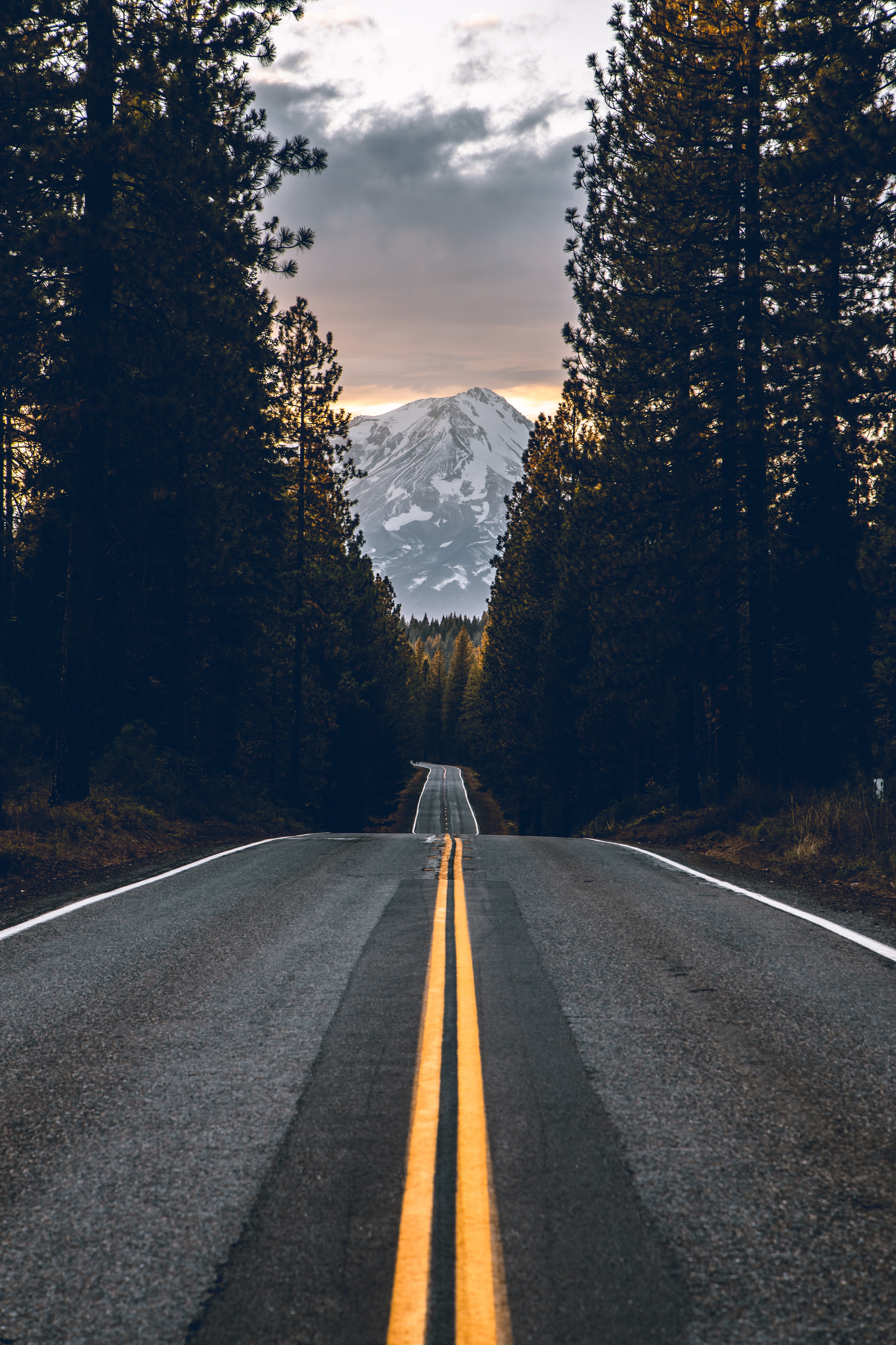 road, trees, nature, mountain, vertex, top cellphone