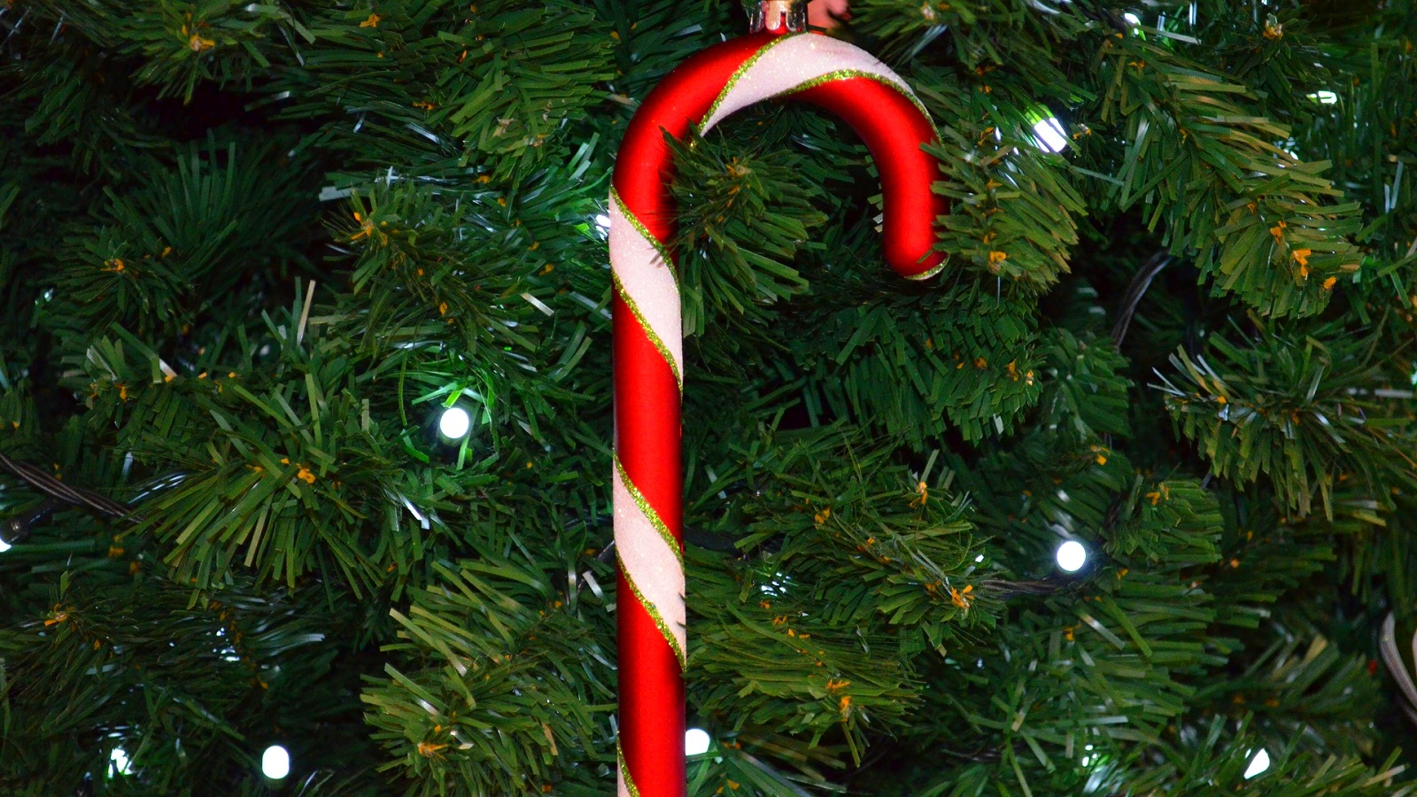 Candy Cane Рождество