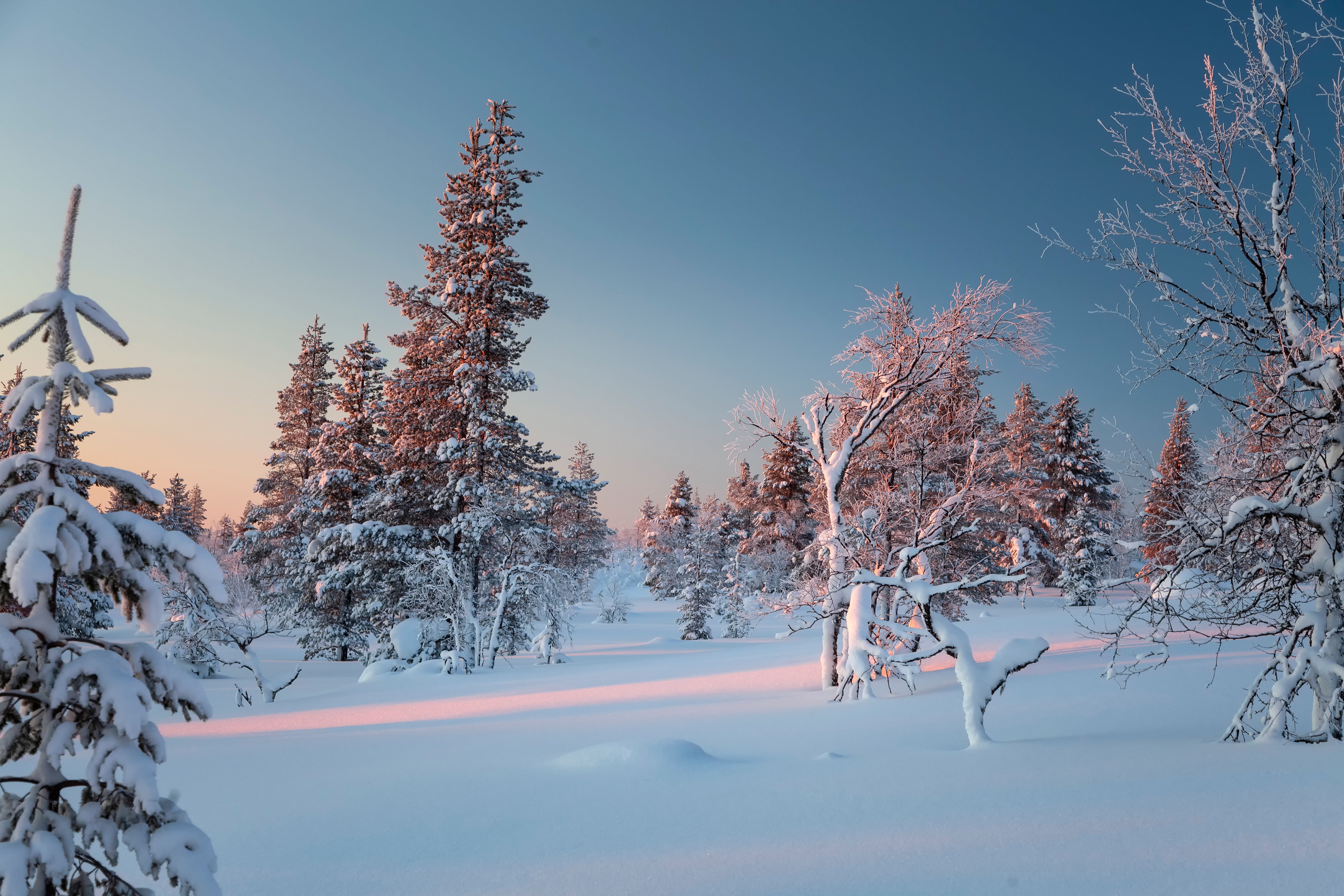 1509512 baixar papel de parede terra/natureza, inverno, finlândia, neve - protetores de tela e imagens gratuitamente