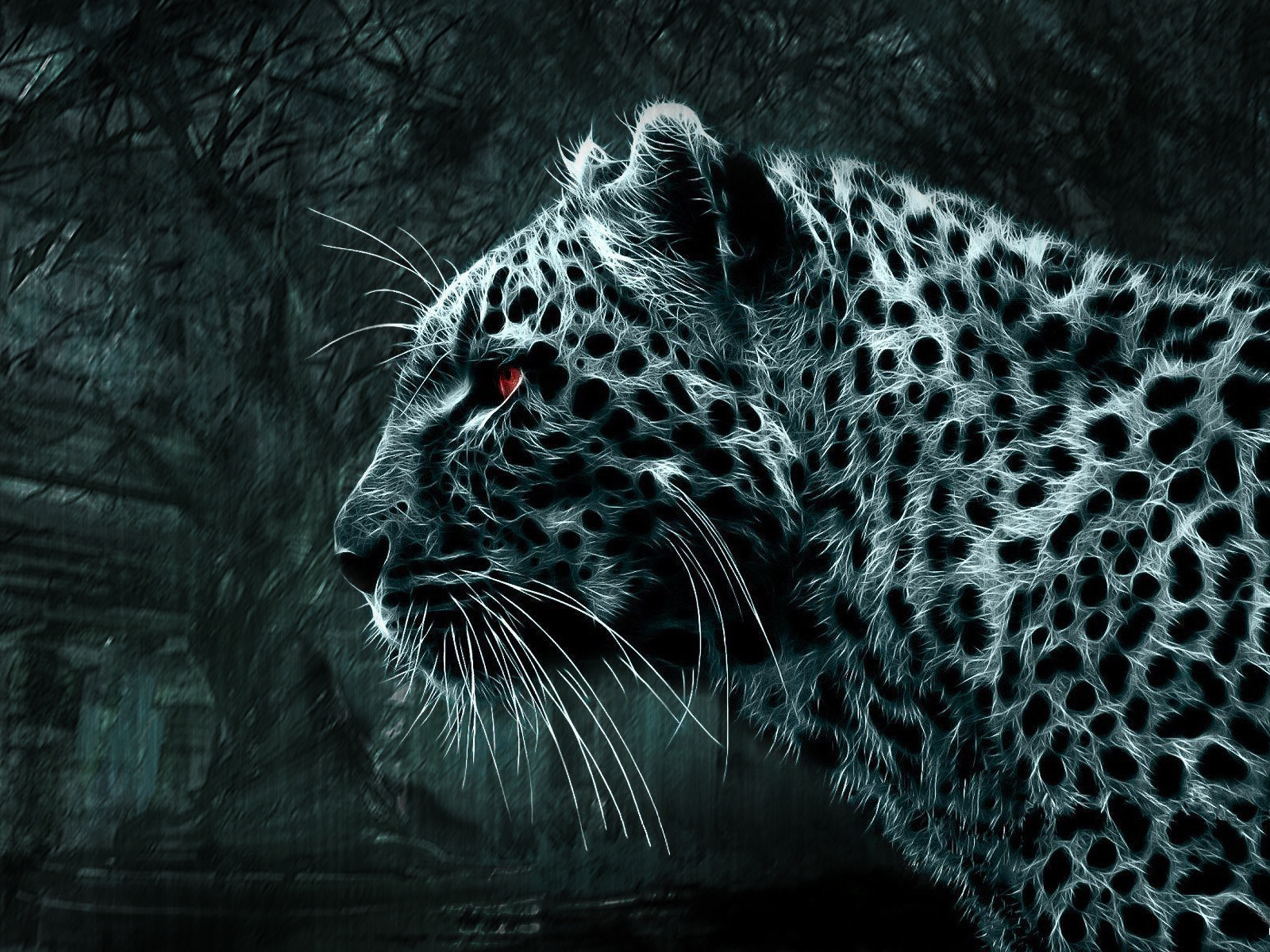 22111 скачать обои леопарды, черные, животные - заставки и картинки бесплатно