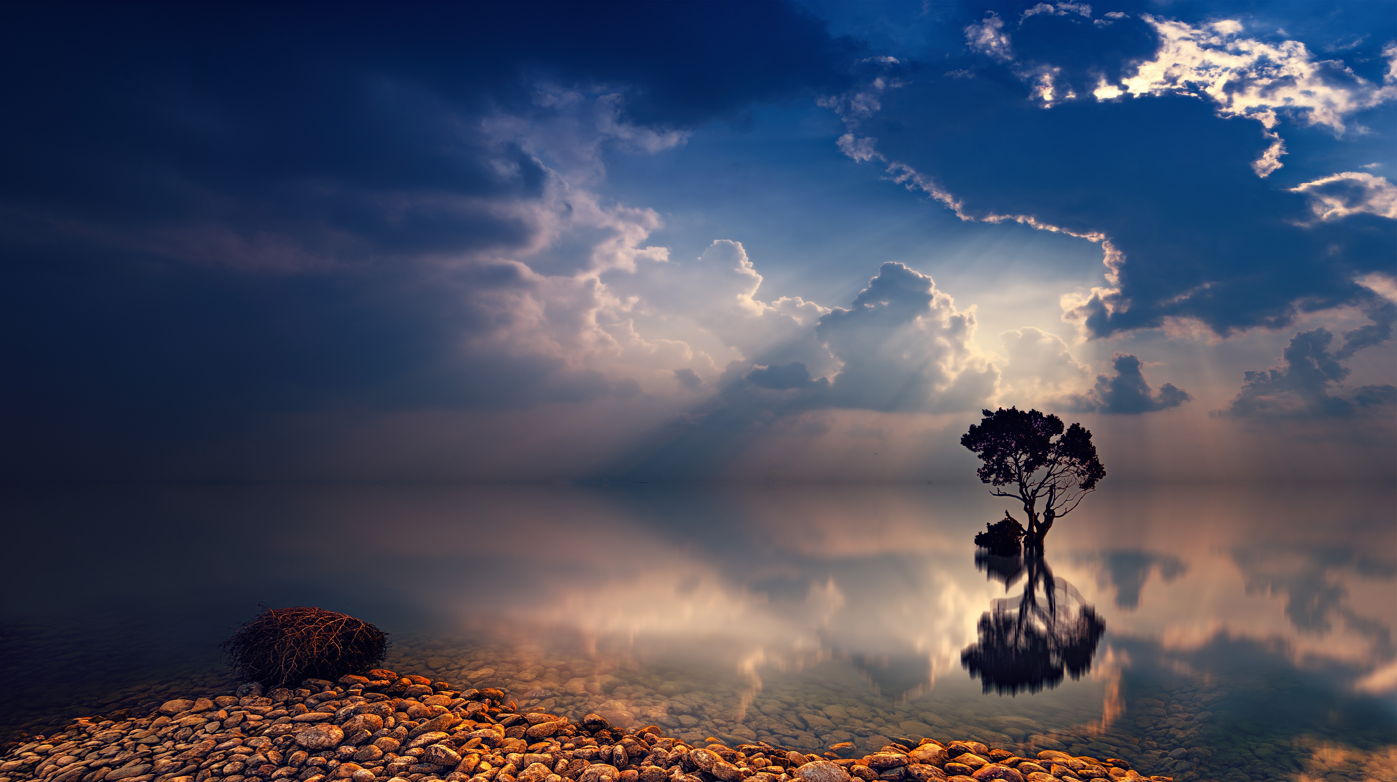 nature, reflection, trees, stone, earth, tree, cloud, lonely tree, ocean, sunbeam, twilight