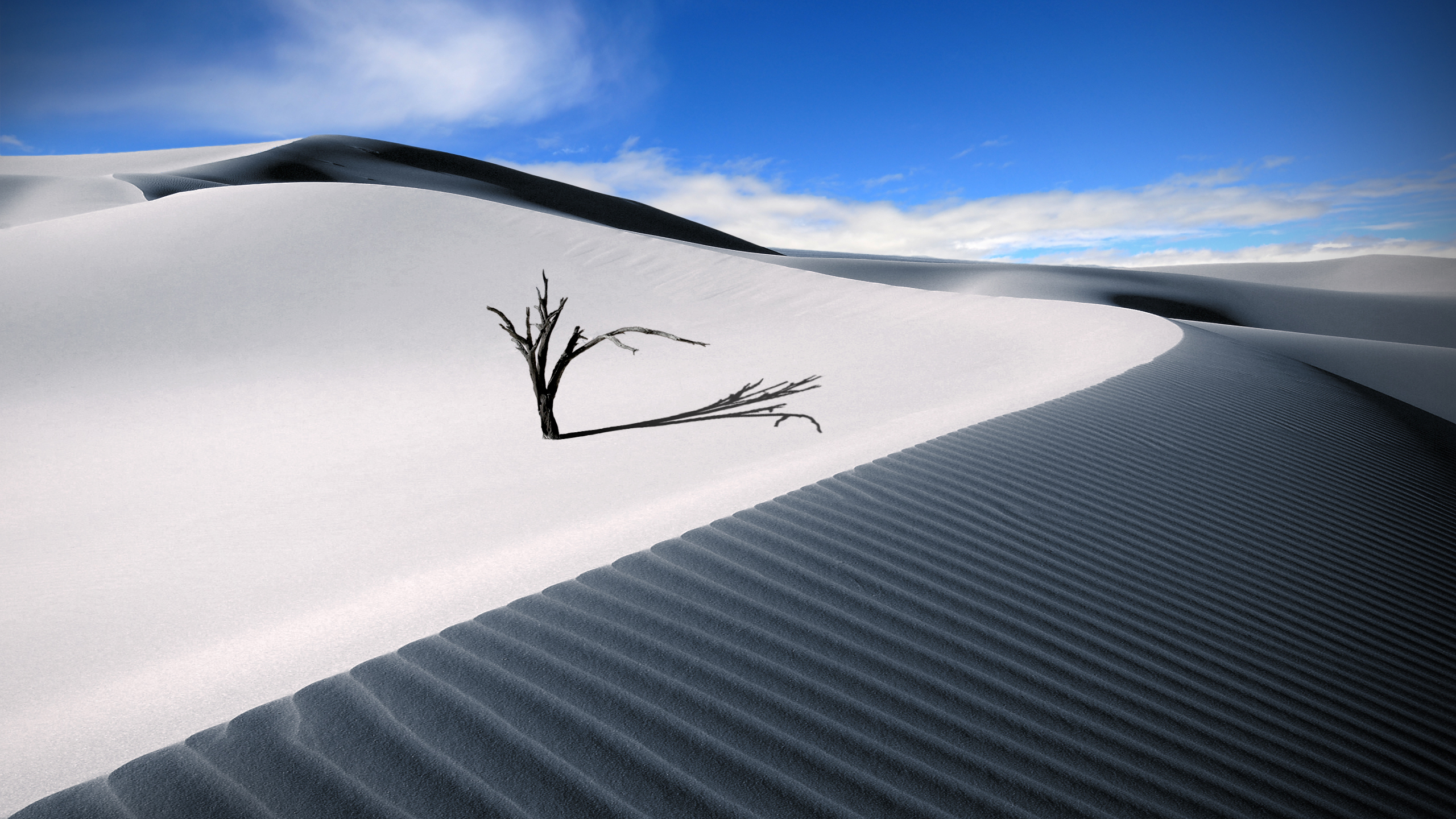 Download background earth, desert, dune