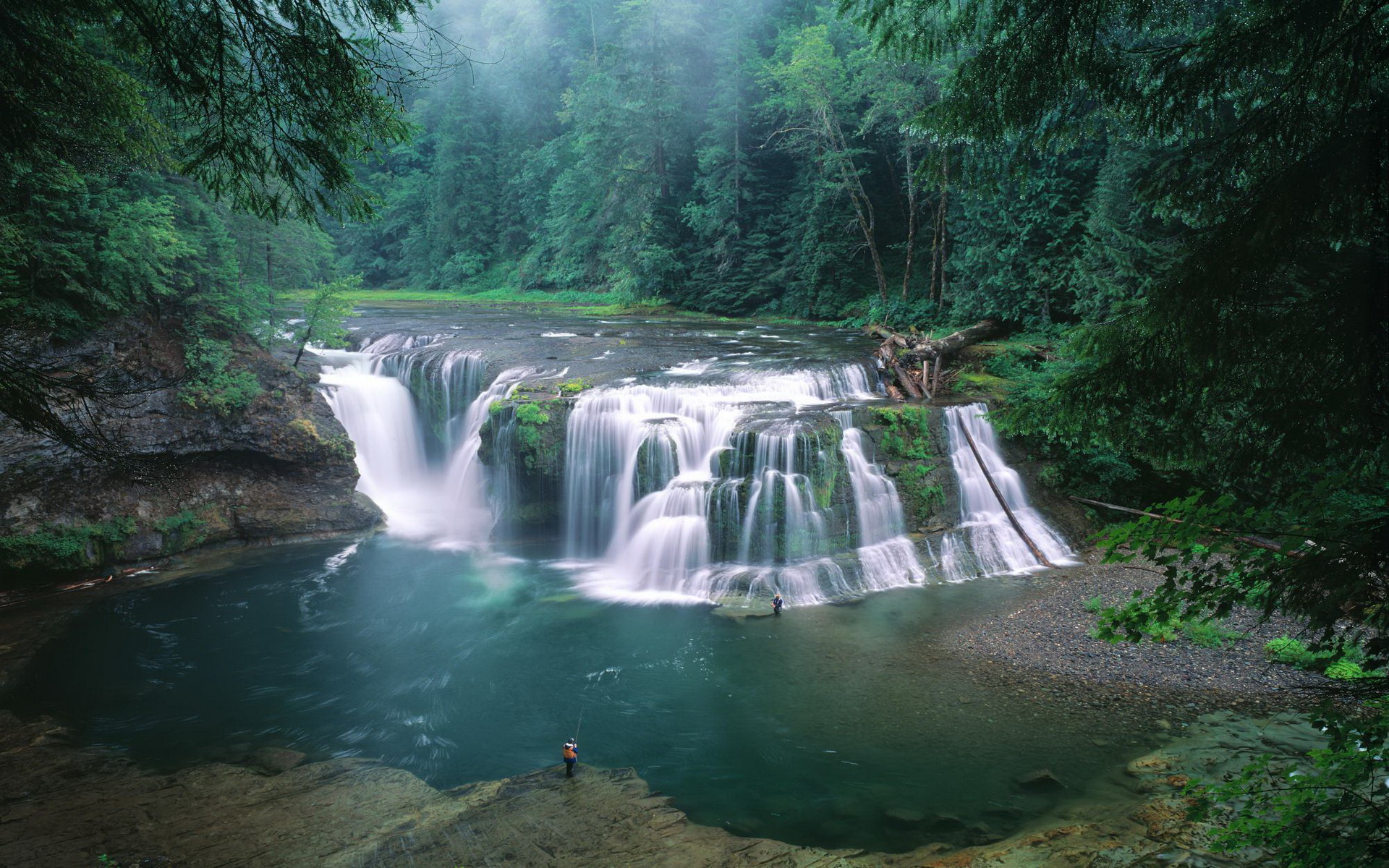 Washington State nature