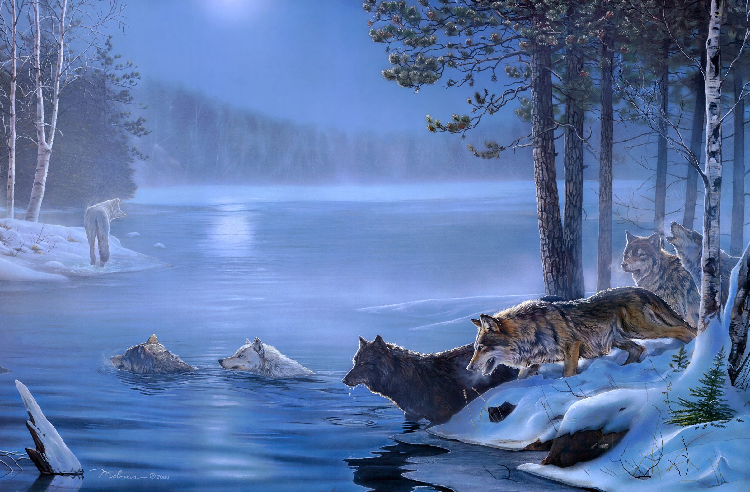 Зимний пейзаж с волками