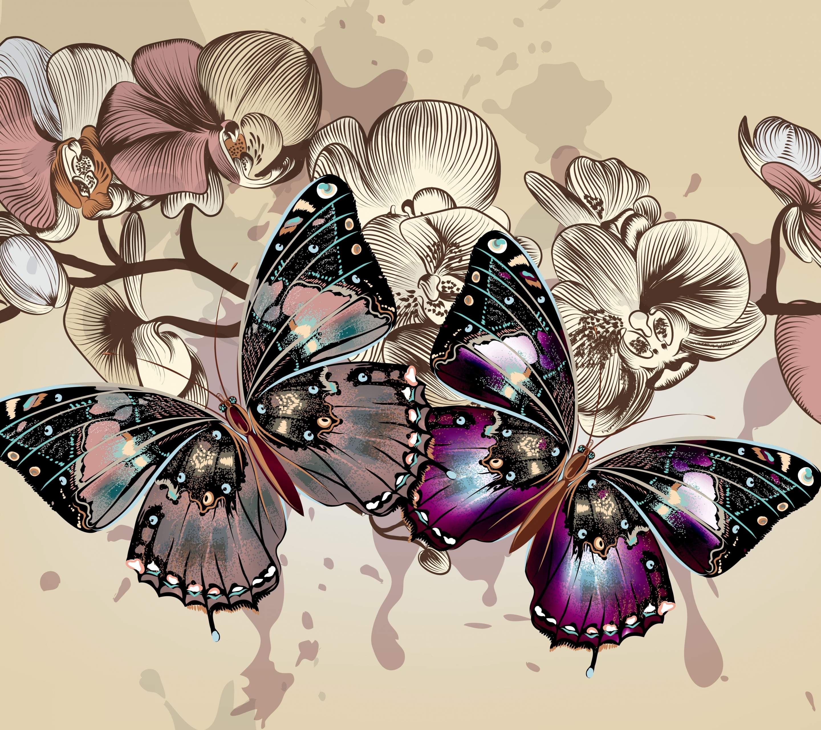 1231022 下載圖片 动物, 蝴蝶, 花, 向量, 矢量, 翅膀 - 免費壁紙和屏保