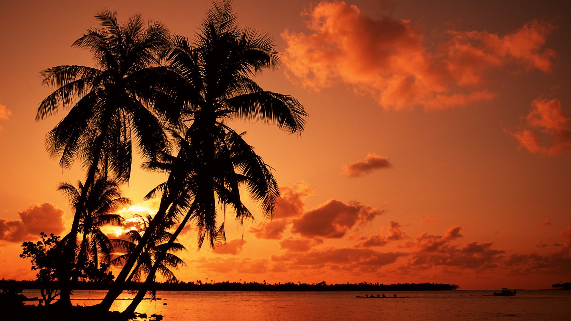 Handy-Wallpaper Landschaft, Natur, Sunset, Palms kostenlos herunterladen.