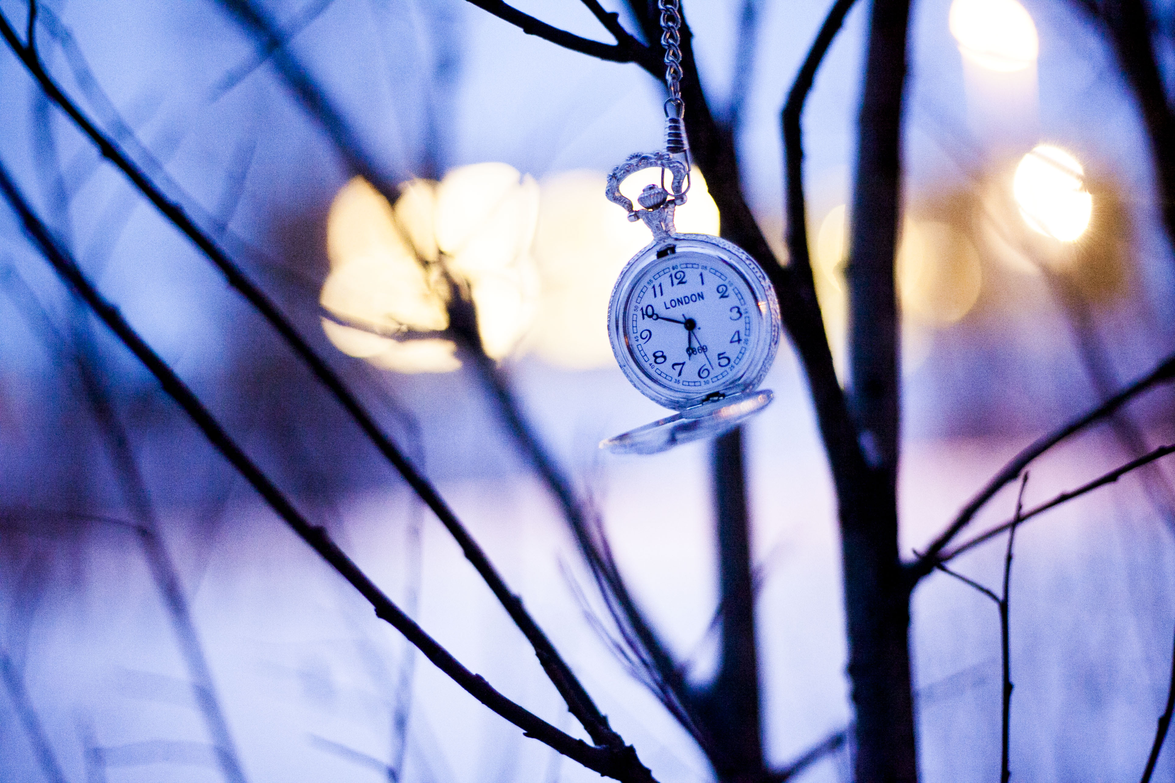 Download mobile wallpaper Branches, Winter, Pocket Watch, Miscellaneous, Clock, Miscellanea for free.