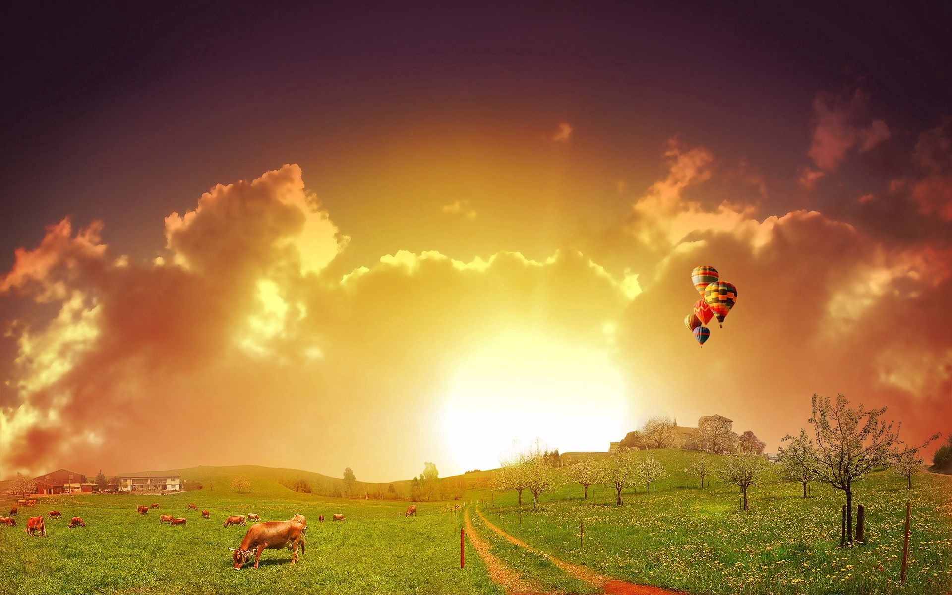 cows, nature, balloons, road, meadow, pasture