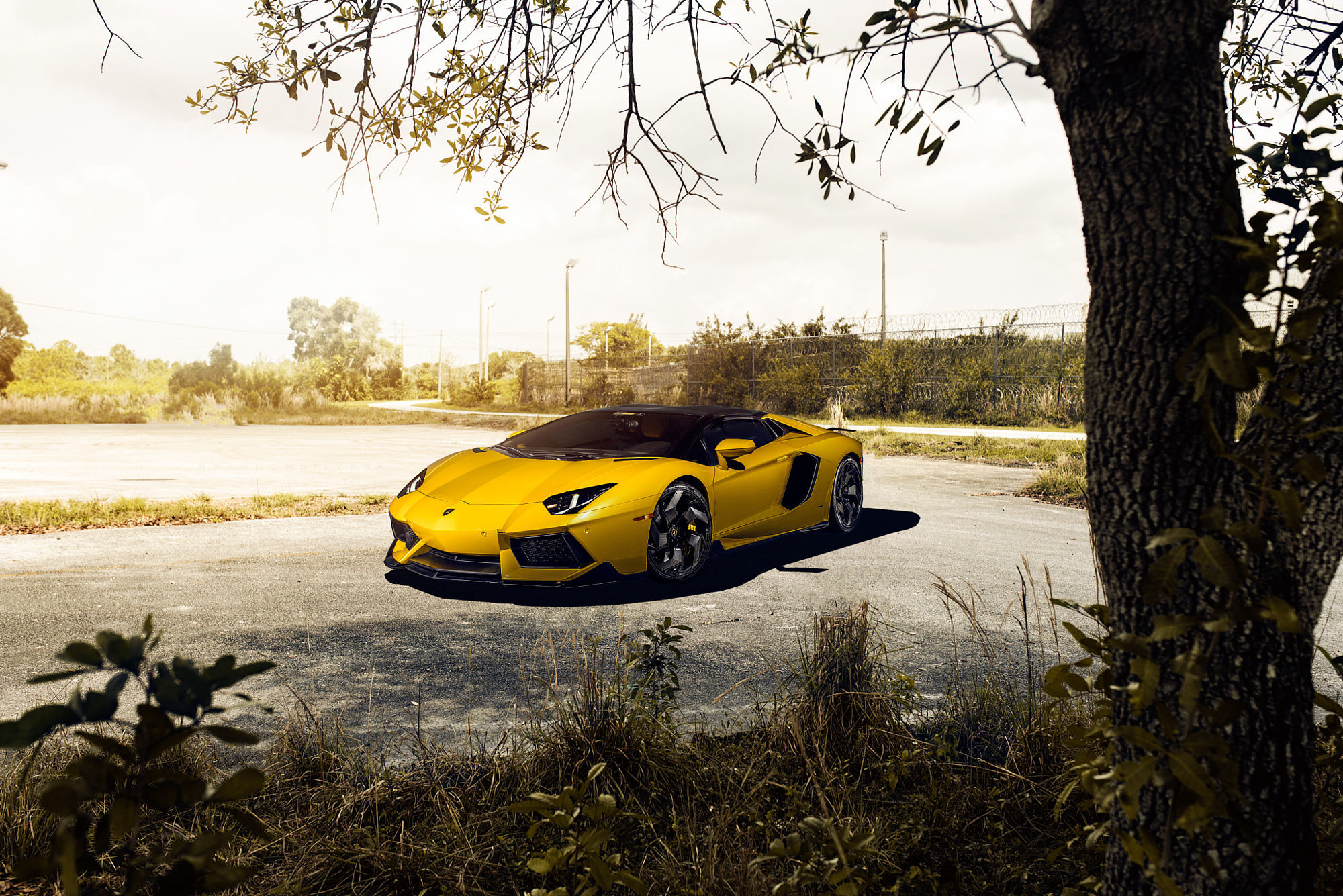 Lamborghini Aventador lp700-4 Yellow