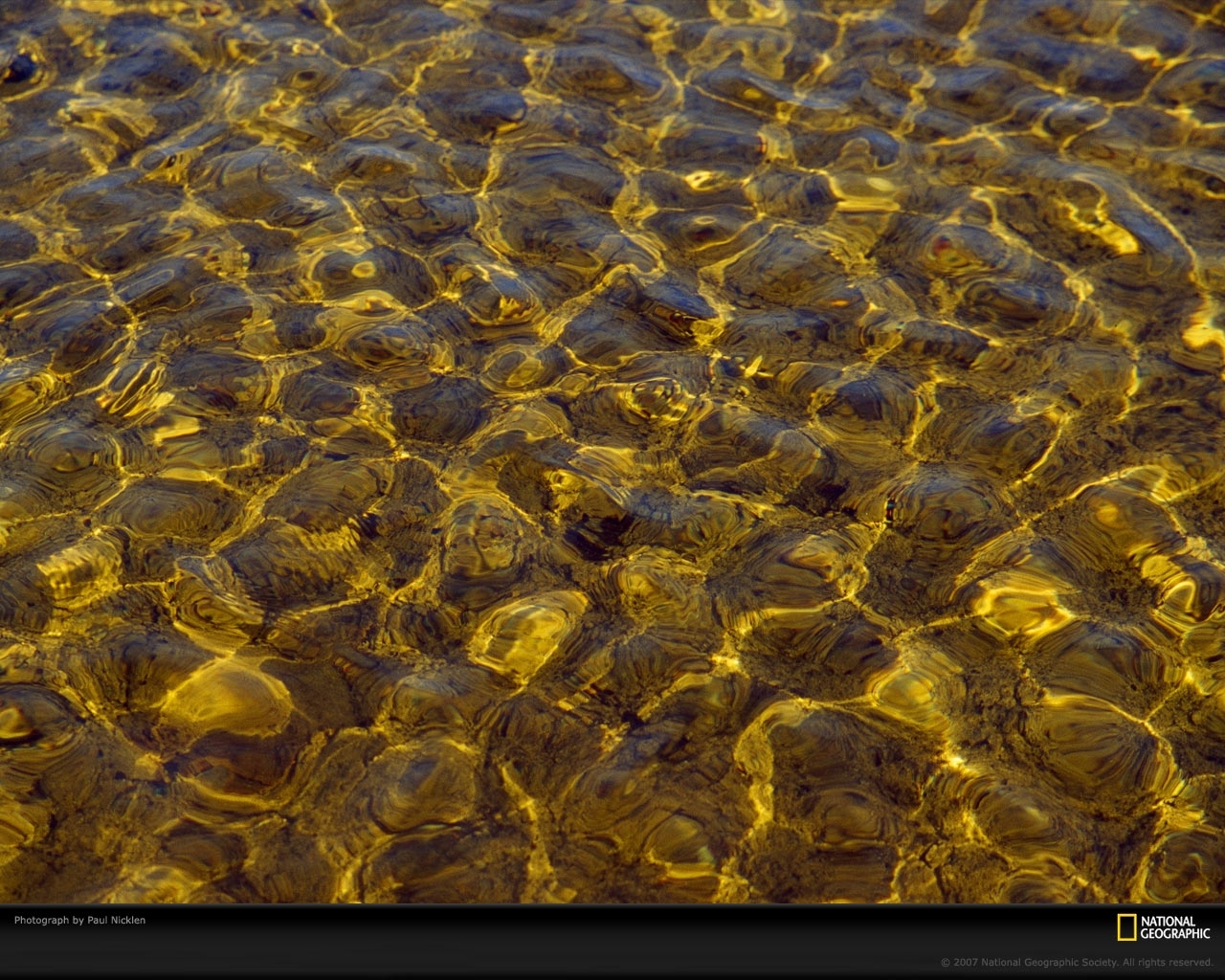 Желто коричневая вода. Золото в воде. Речное дно. Вода с золотом. Море золота.
