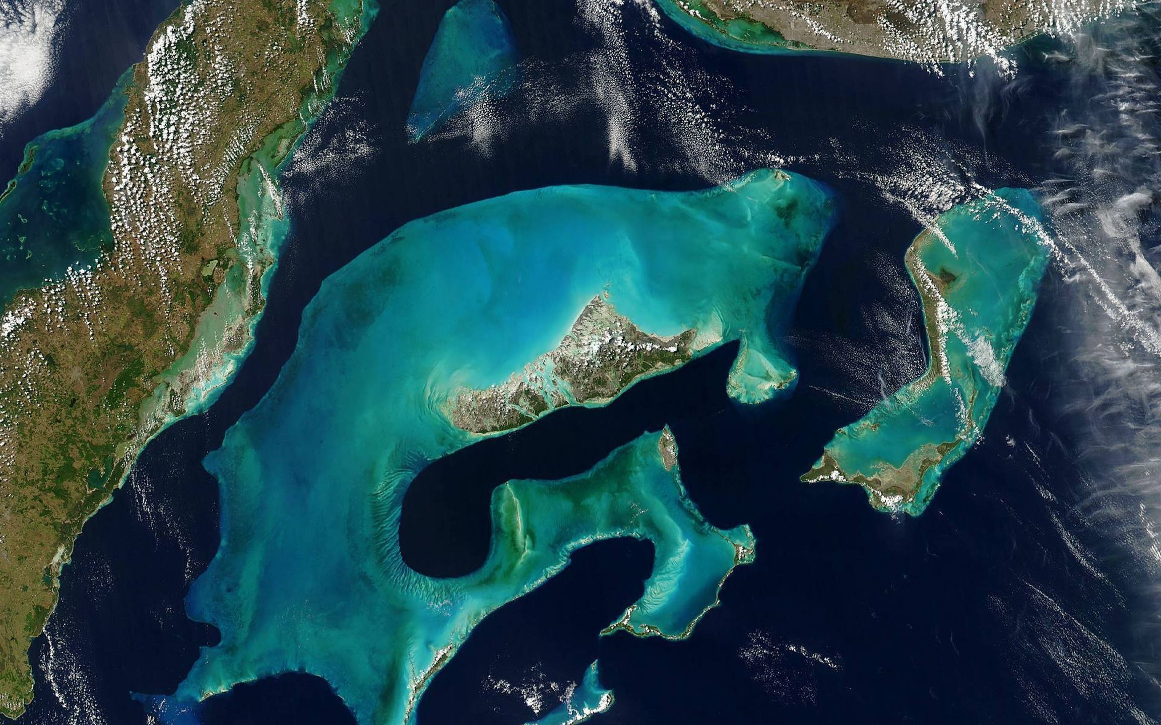 Поверхность океана покрыта. Саргассово море Бермудский треугольник. Саргассово море из космоса. Саргассово море со спутника. Карибское море Атлантический океан.