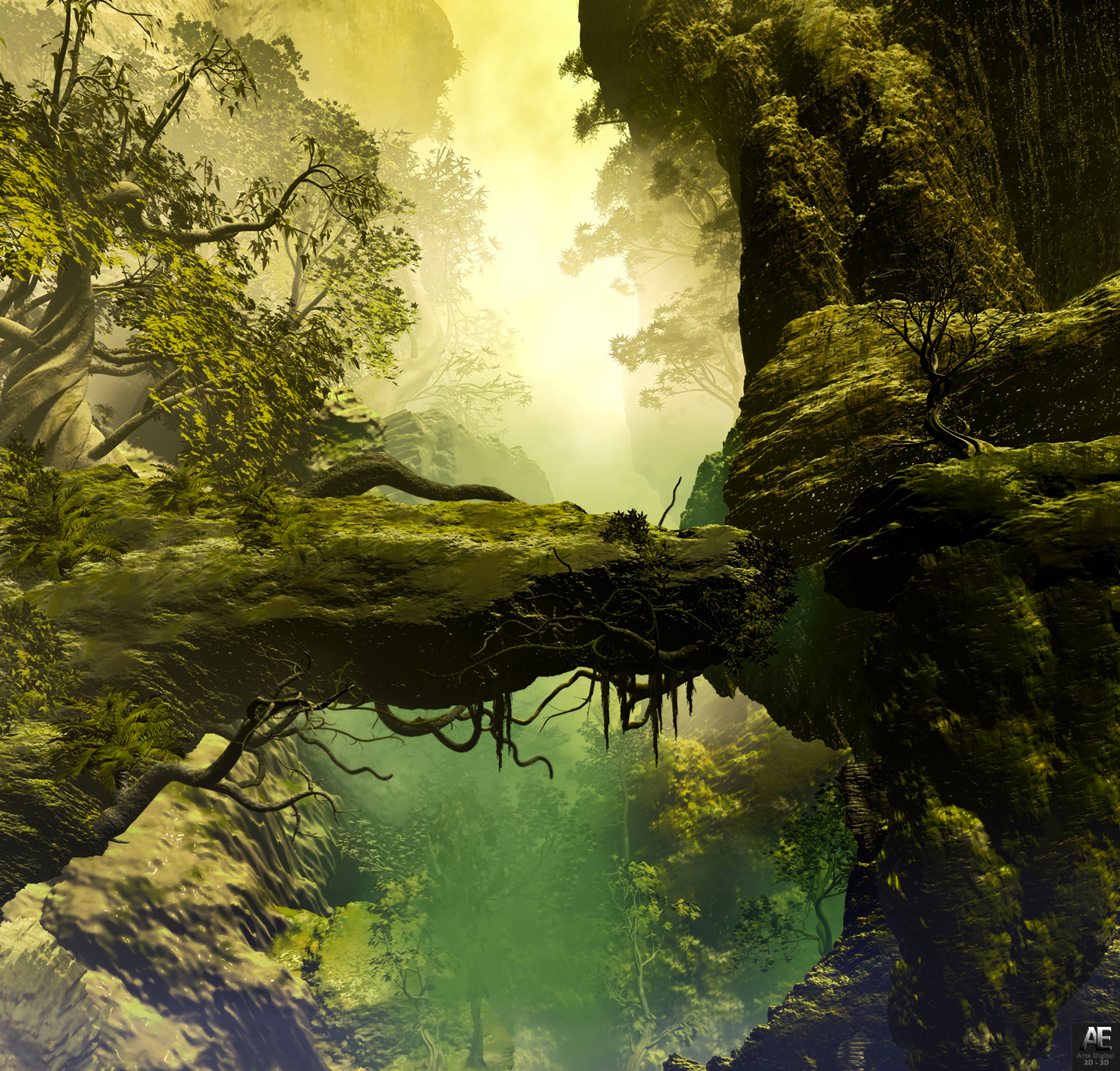 3d, trees, painting, realism, landscape, stones, rock, fog, roots wallpaper for mobile