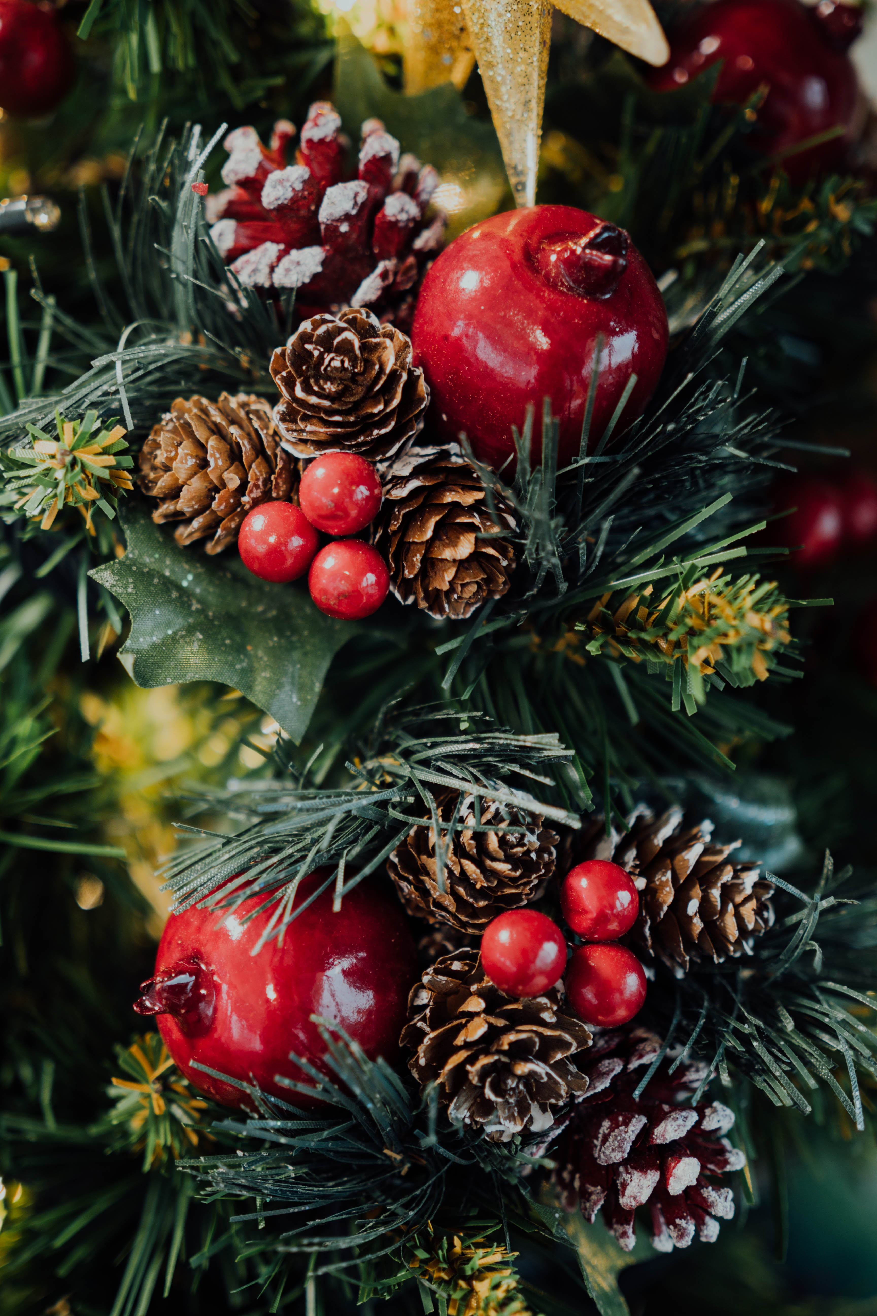 Handy-Wallpaper Cones, Neues Jahr, Berries, Feiertage, Neujahr, Weihnachtsbaum, Weihnachten kostenlos herunterladen.