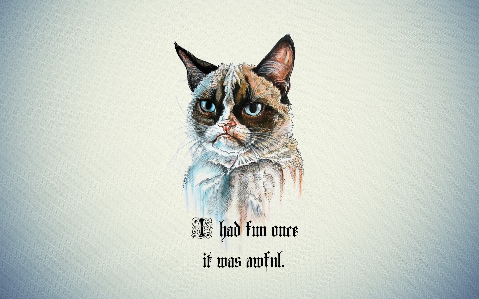  Grumpy Cat Cellphone FHD pic