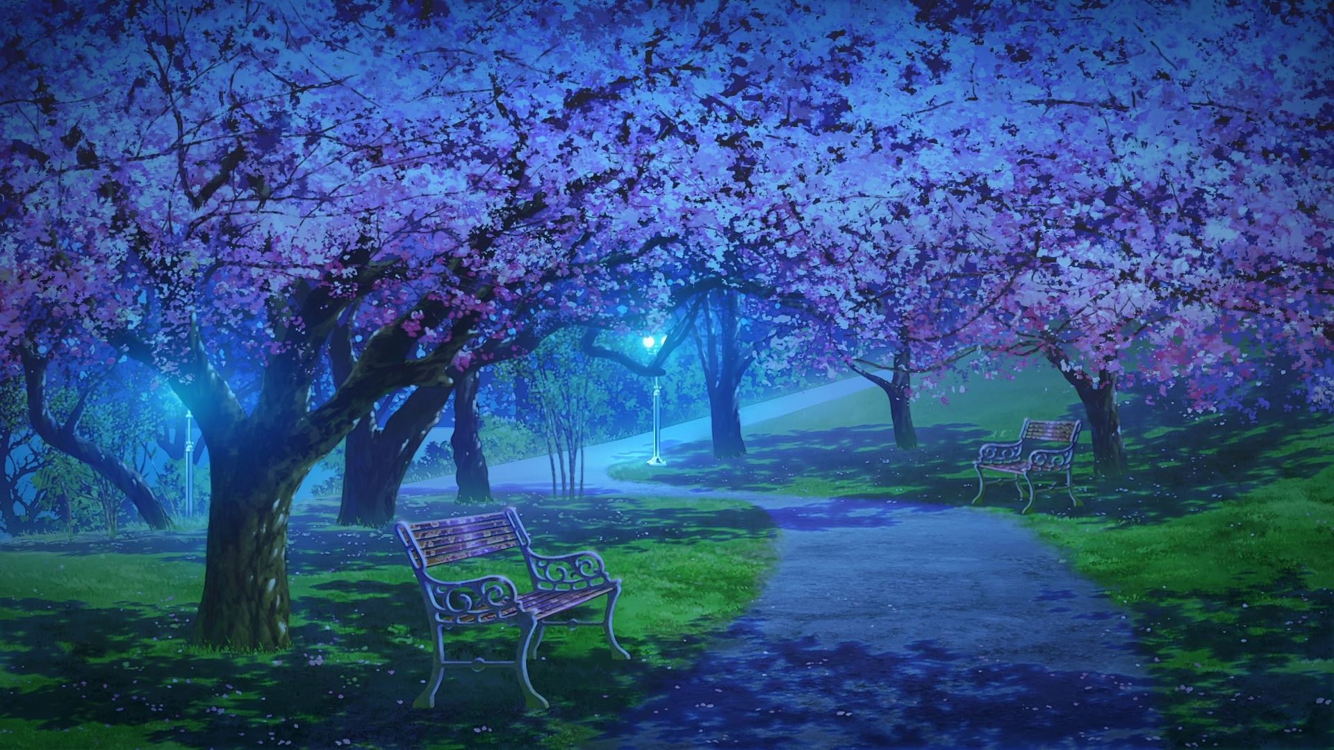 Free download Anime Cherry Blossoms Landscape Wallpapers HD [1574x1152] for  your Desktop, Mobile & Tablet | Explore 41+ Anime Cherry Blossom Wallpaper  | Cherry Blossom Background, Cherry Blossom Wallpaper, Cherry Blossom  Backgrounds