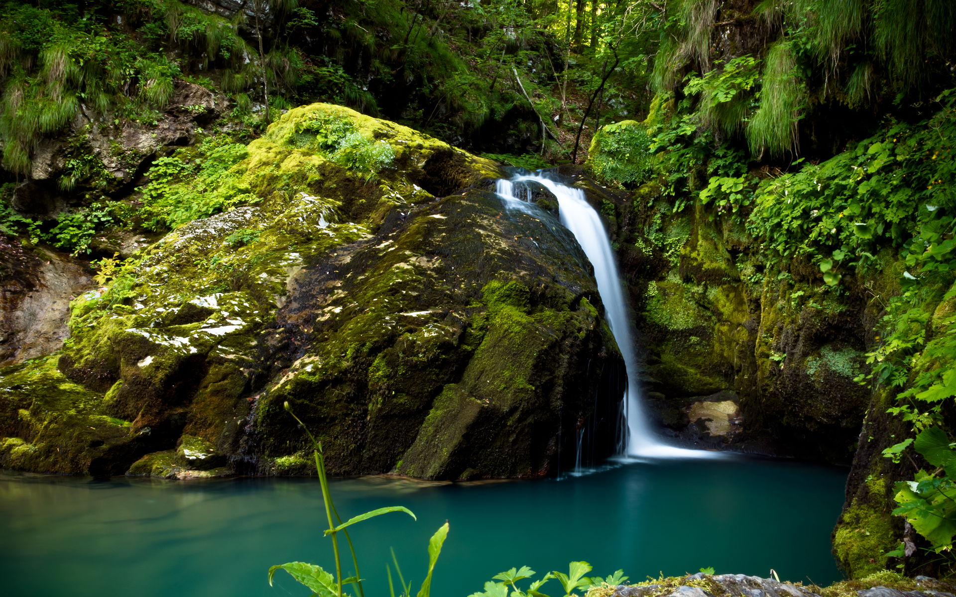 Природа зеленая водопад