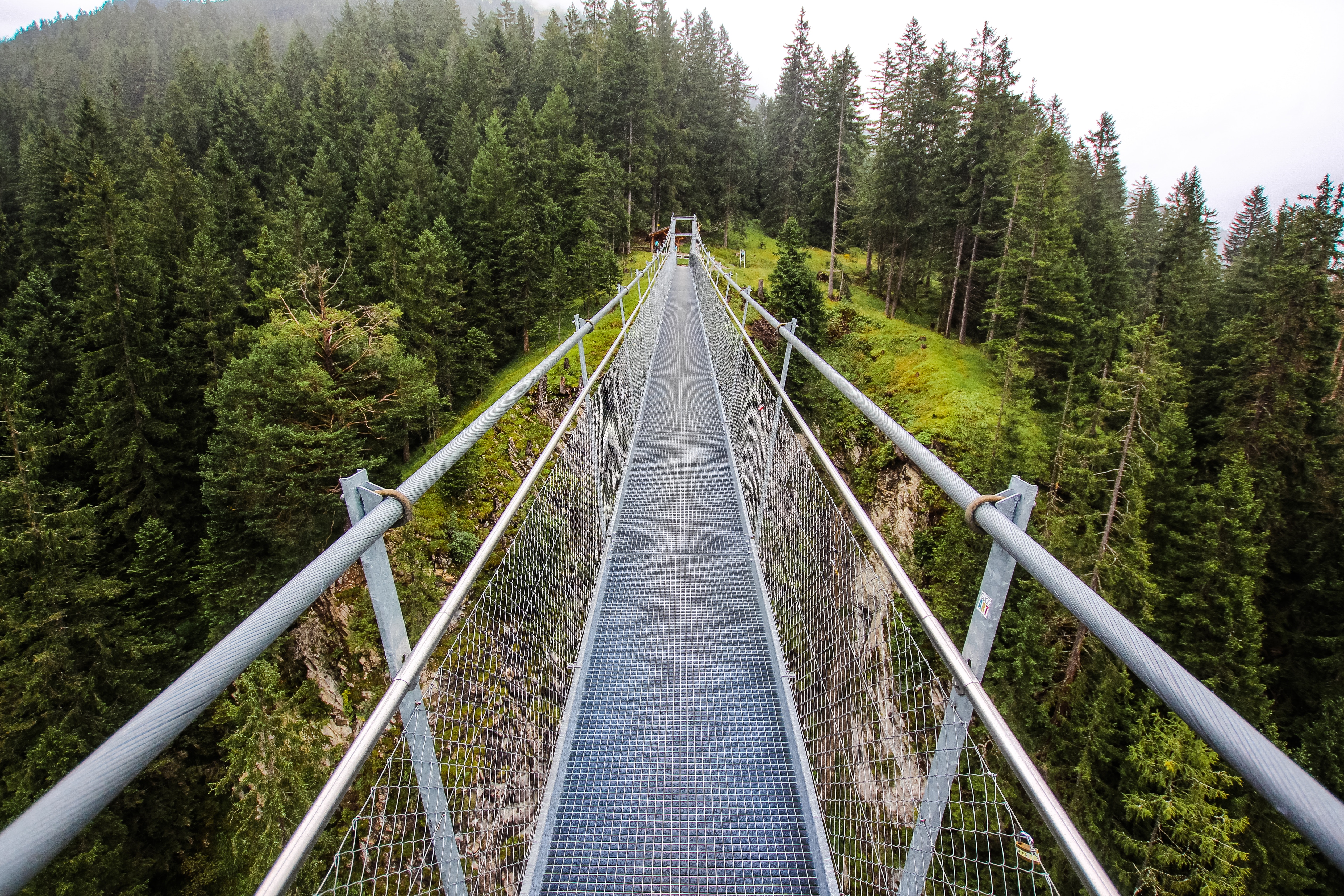 bridge, trees, nature, forest cellphone