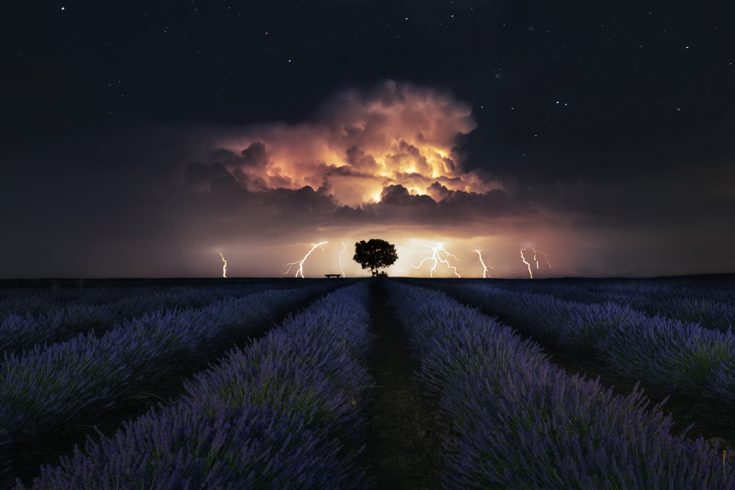 Download mobile wallpaper Flowers, Stars, Lightning, Earth, Thunderstorm, Lavender for free.