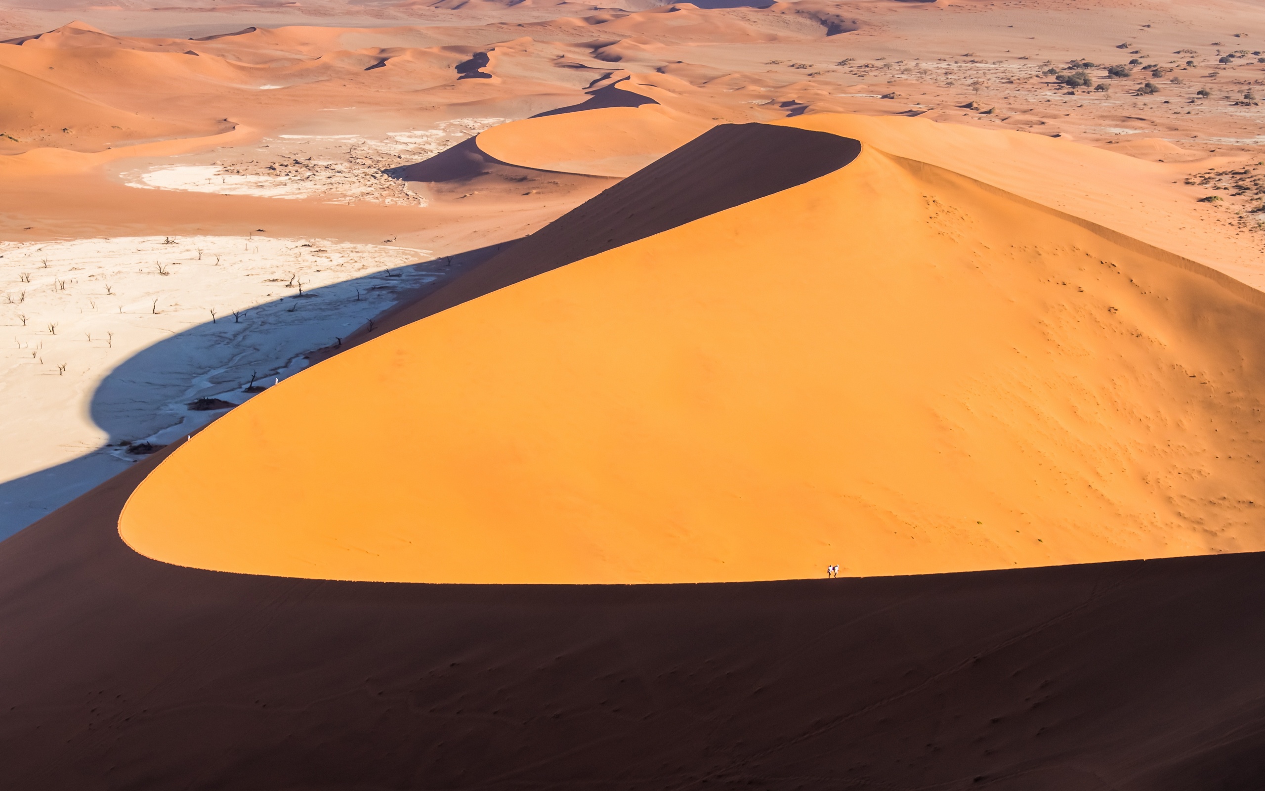 Самая большая пустыня на планете земля. Дюна рельеф. Параболические дюны. Бархан рельеф. Песчаные дюны Шарджа.