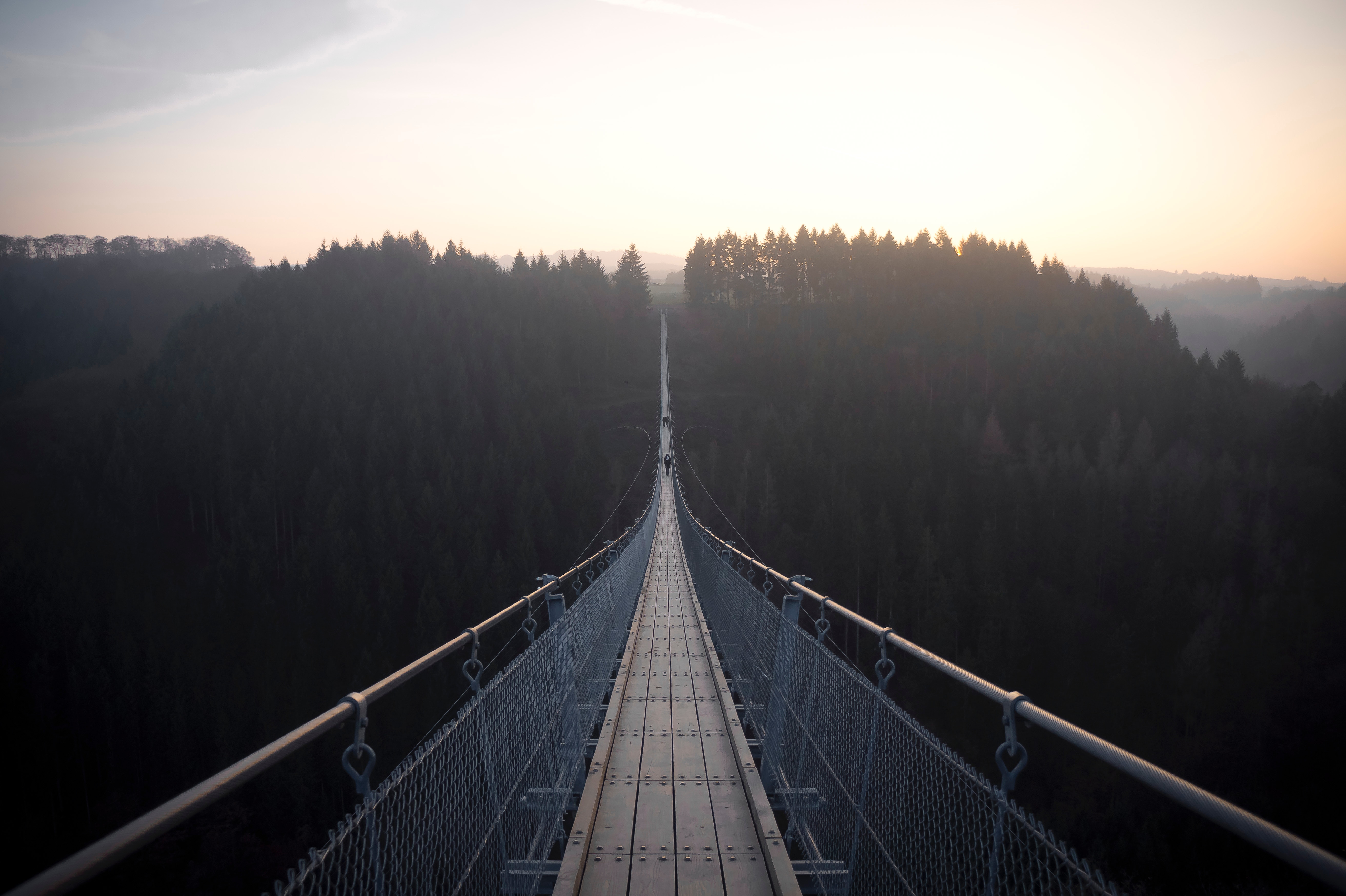 Download mobile wallpaper Suspension Bridge, Fog, Forest, Bridge, Nature for free.